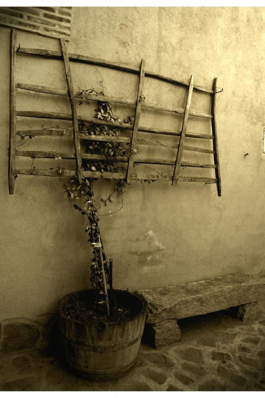 Callejón del Pozo II-Binnen