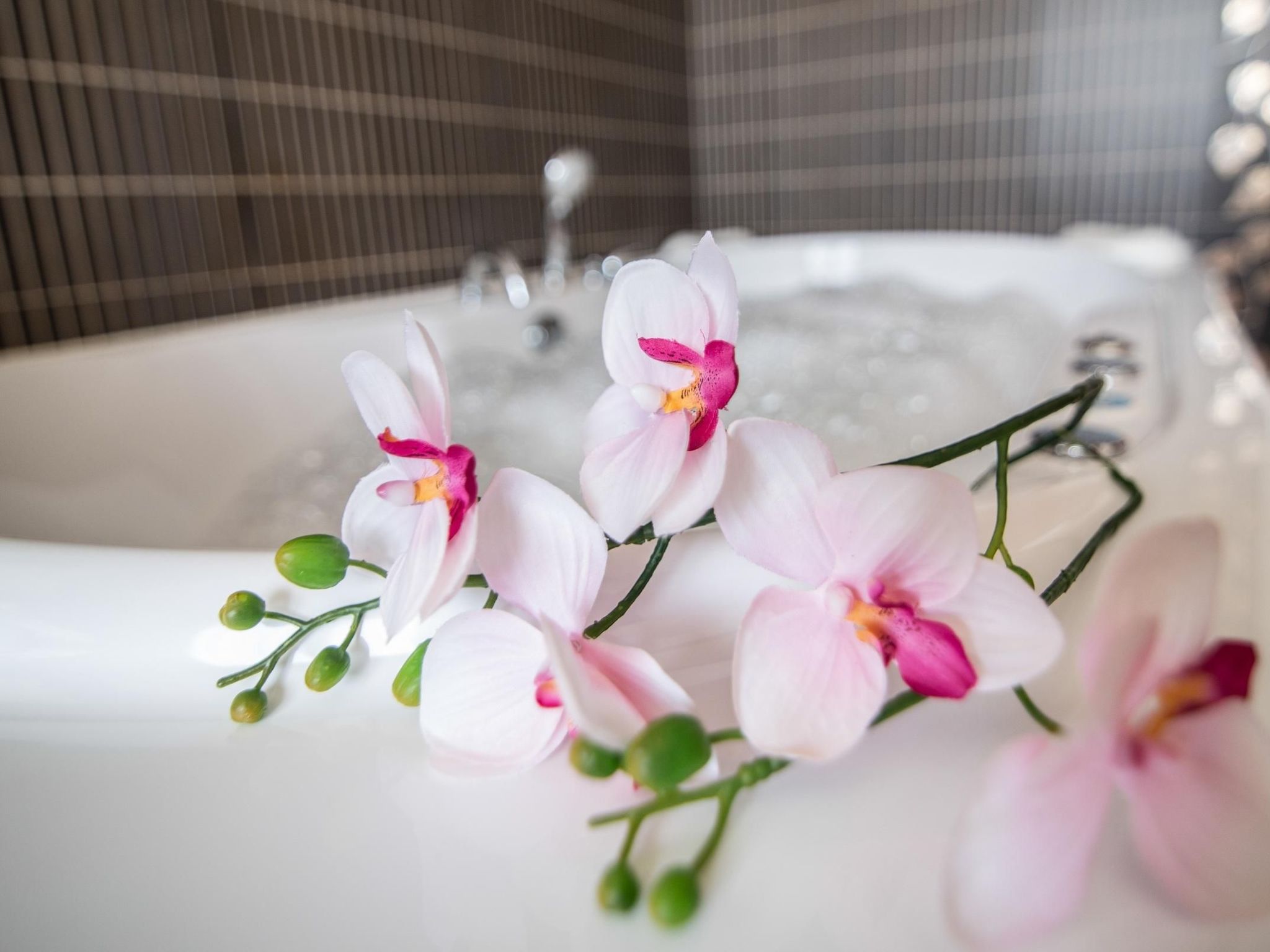 Callejón del Pozo II-Binnen