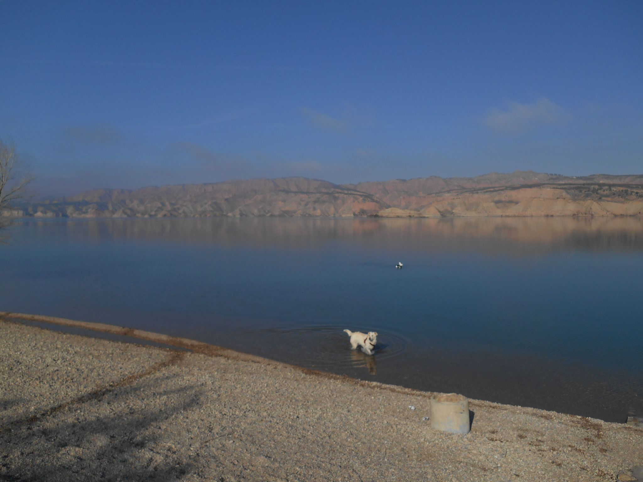 Mit Garten und gemeinsamem Pool-Dehors