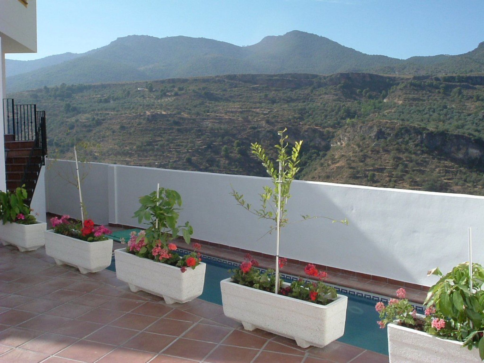 "Casa Tulipan" mit eigener Terrasse-Inside