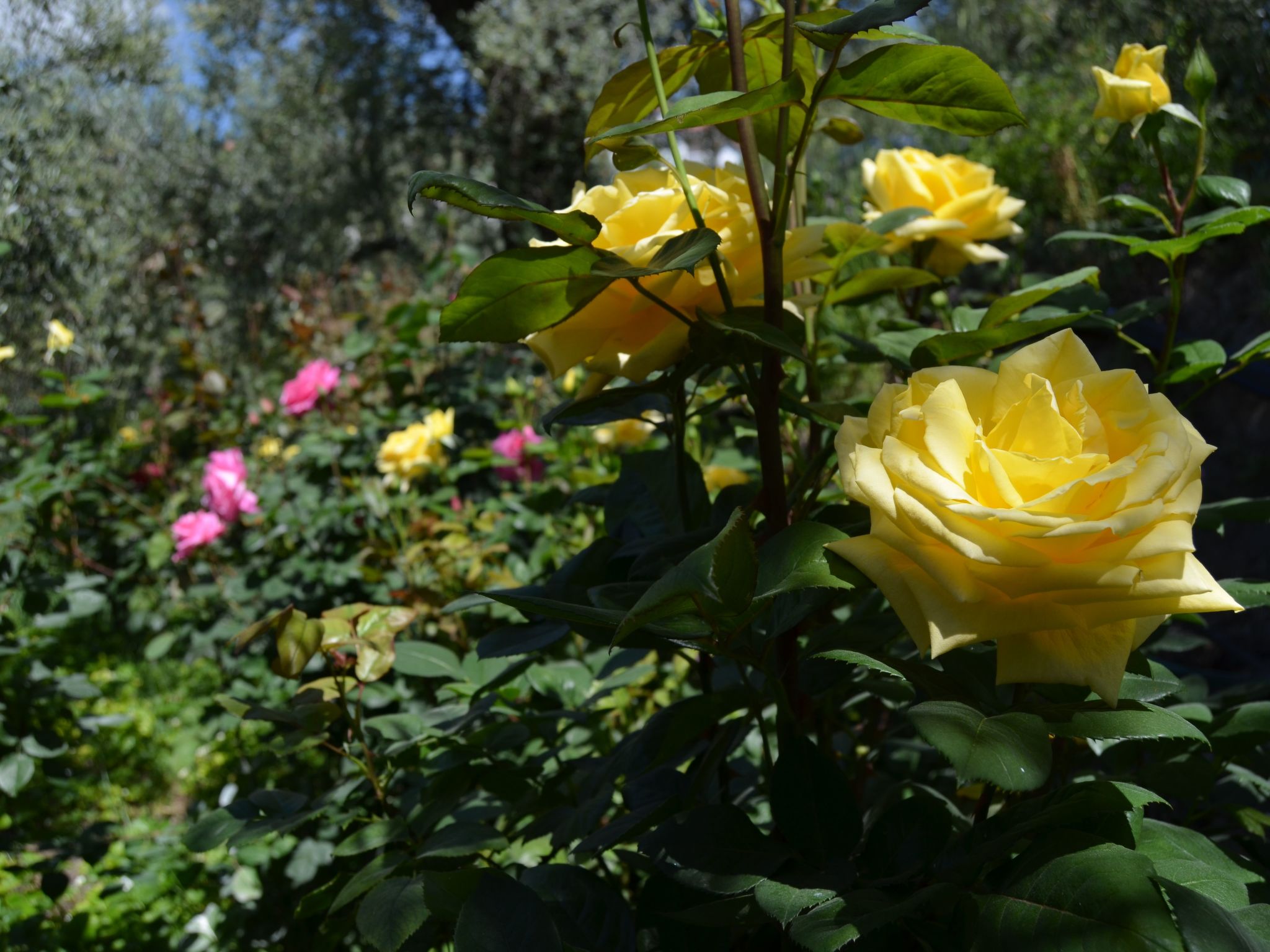 Gemütliches Haus mit toller Aussicht-Image-tags.info