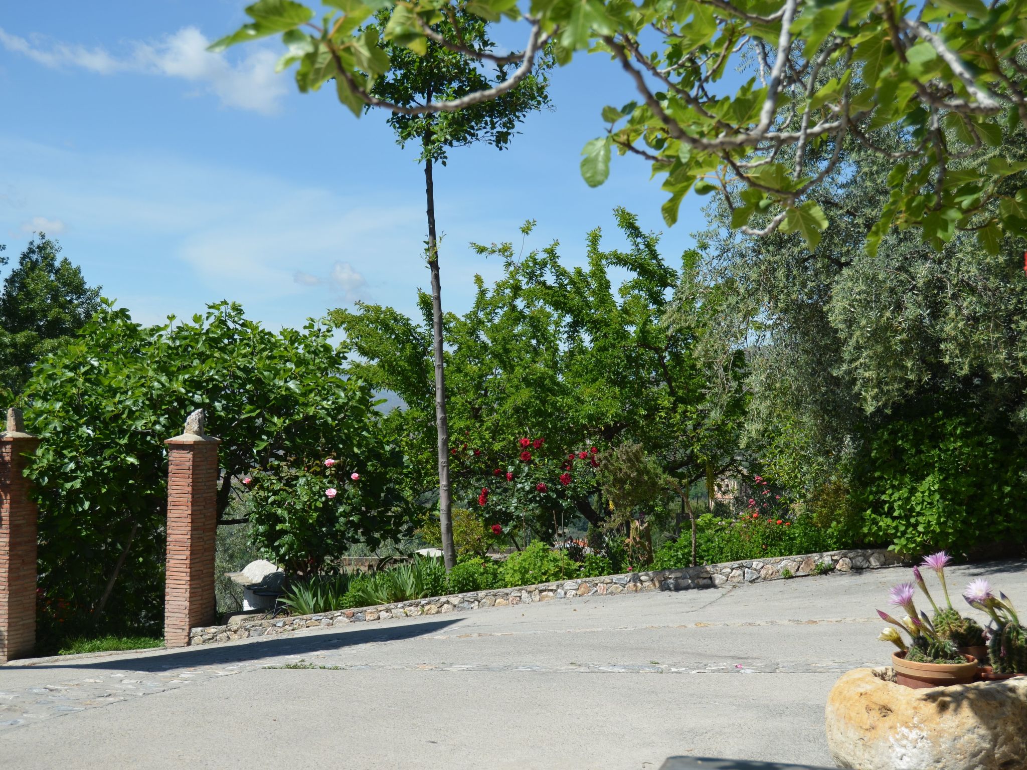 Schönes Haus in Anlage mit Schwimmbad-Image-tags.info