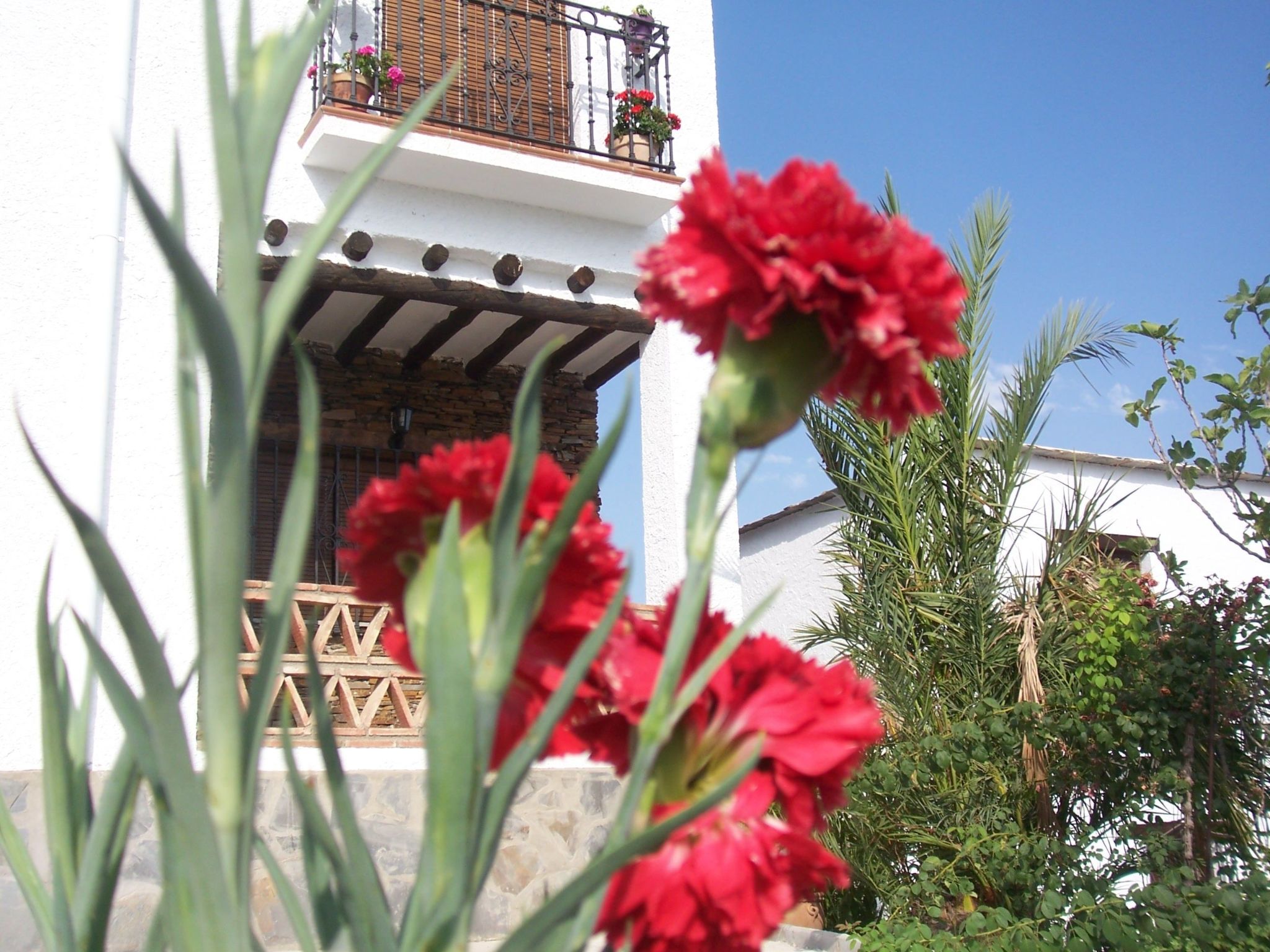 Gemütliches Haus in einer Anlage mit Garten und Schwimmbad.-Image-tags.info