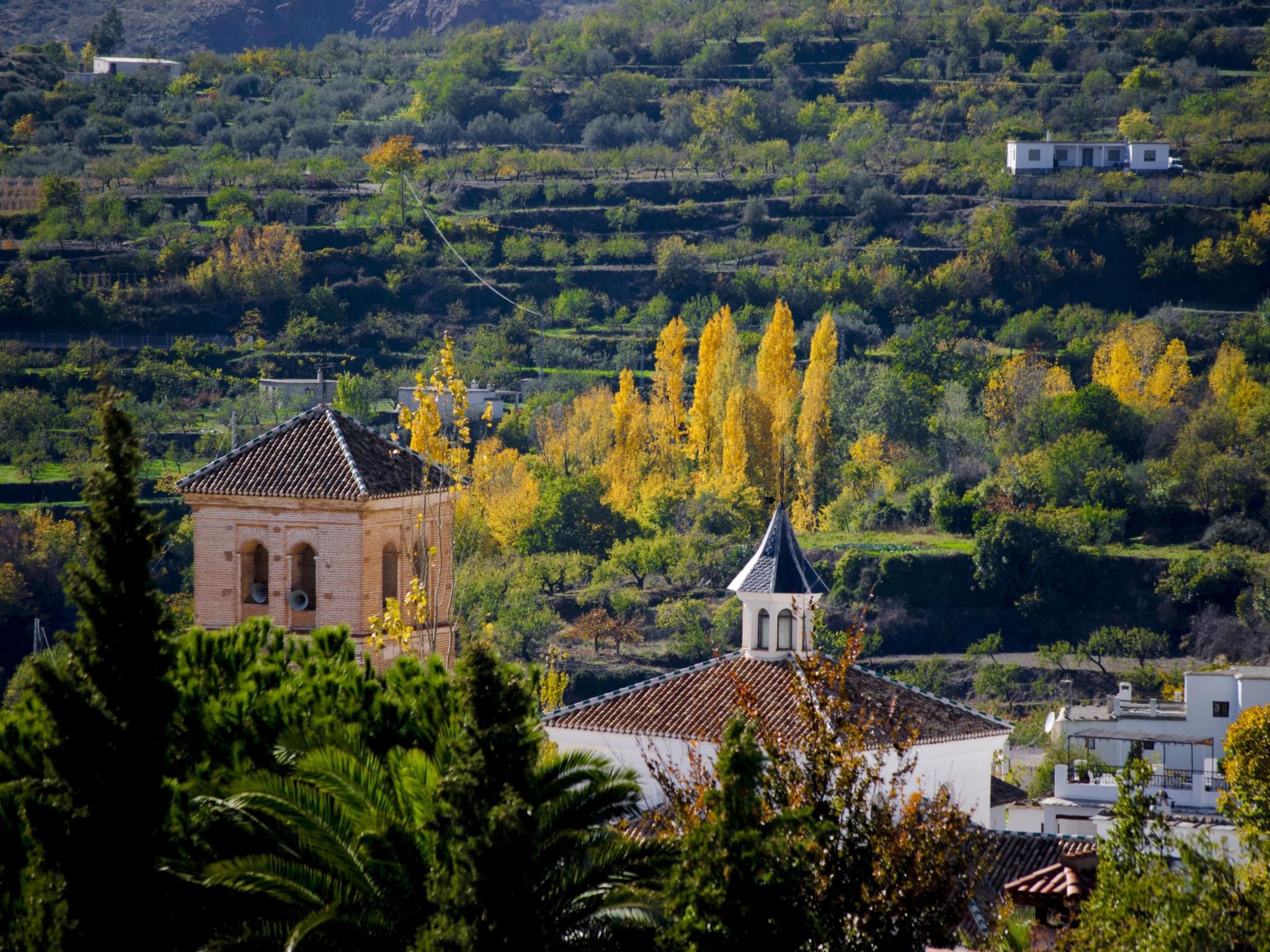 Landhaus mit zwei Schlafzimmern in La Alpujarra-Image-tags.info