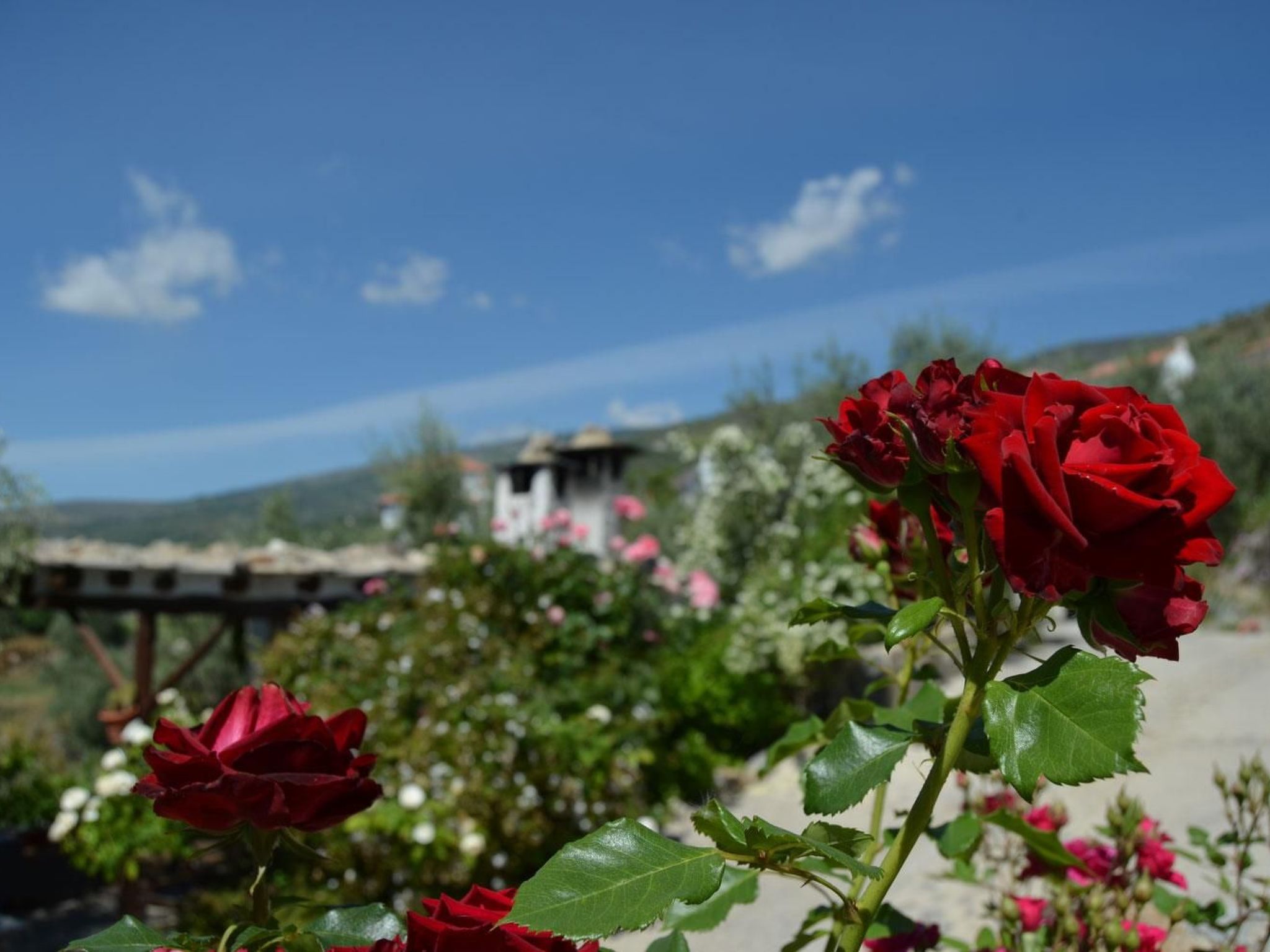 Landhaus mit zwei Schlafzimmern in La Alpujarra-Image-tags.info