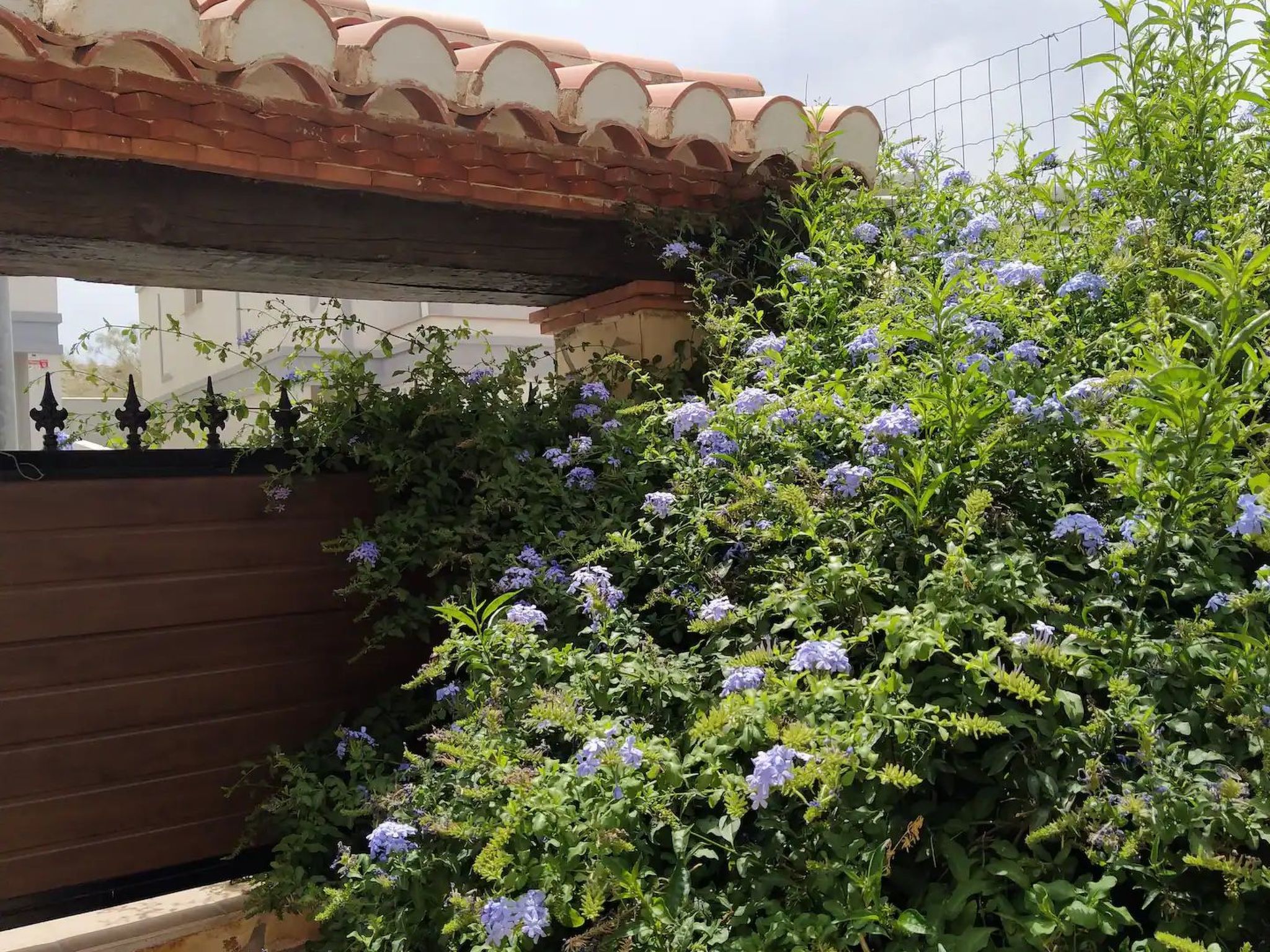 Helles Haus mit Aussicht und privatem Pool-Image-tags.info