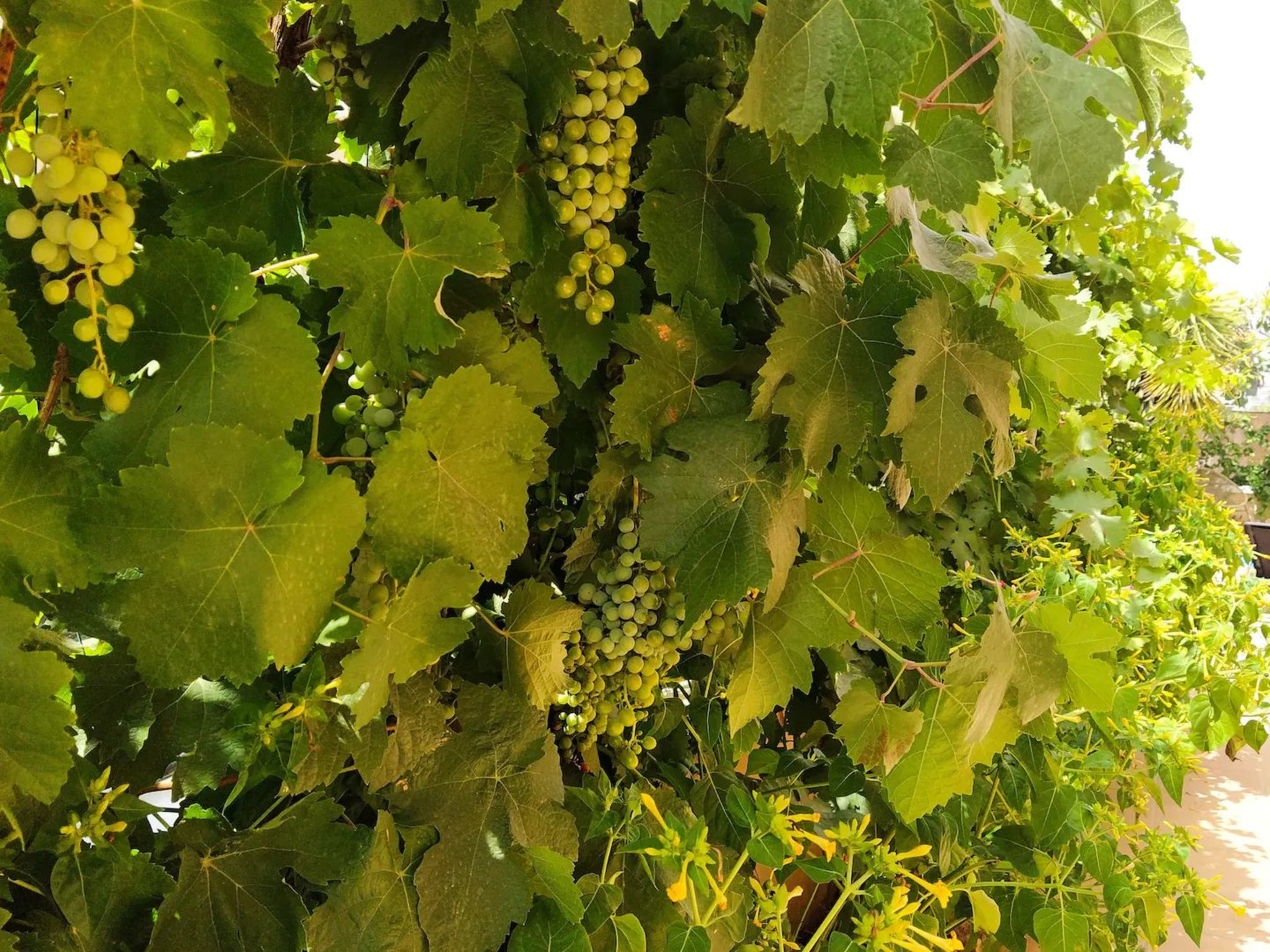 Helles Haus mit Aussicht und privatem Pool-Image-tags.info