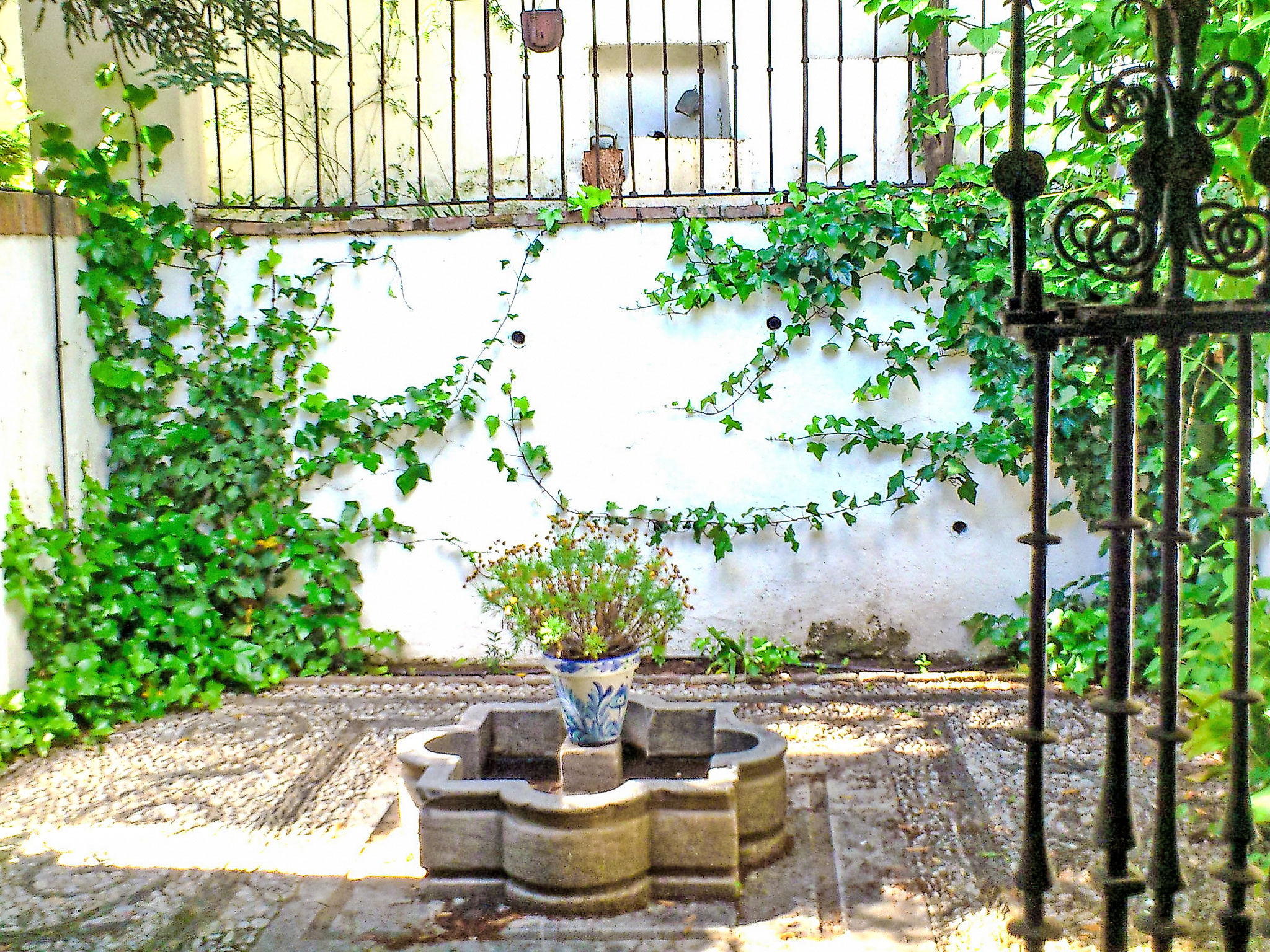 Photo of Carmen Del Agua