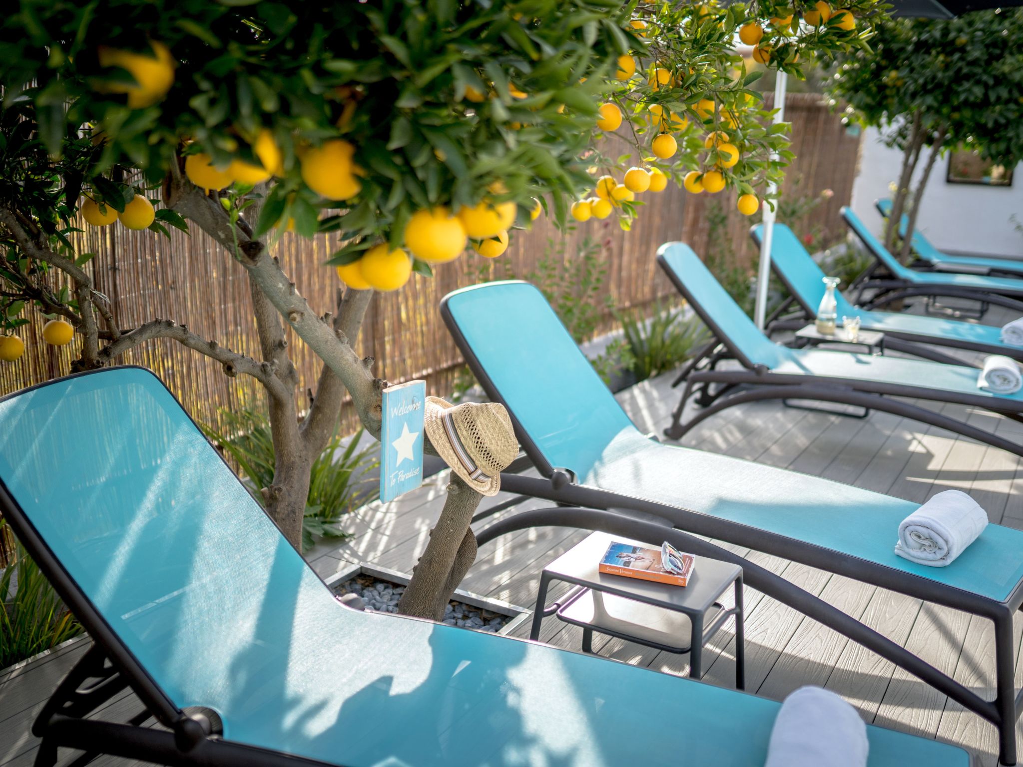 Casa El Limonero, Landhaus mit Aussicht-Binnen