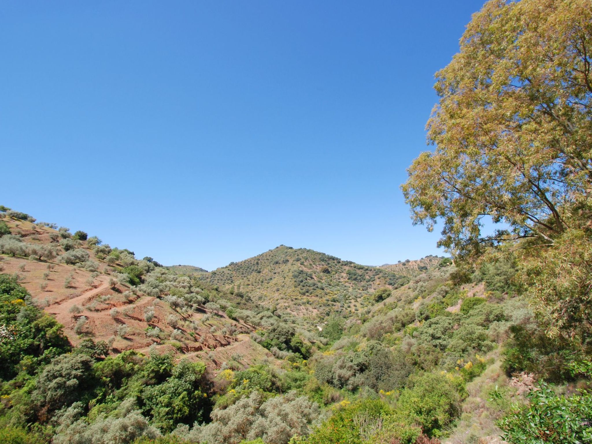 Villa La Zorzalera mit Tauchbecken, Wifi, Klimaanlage-Binnen