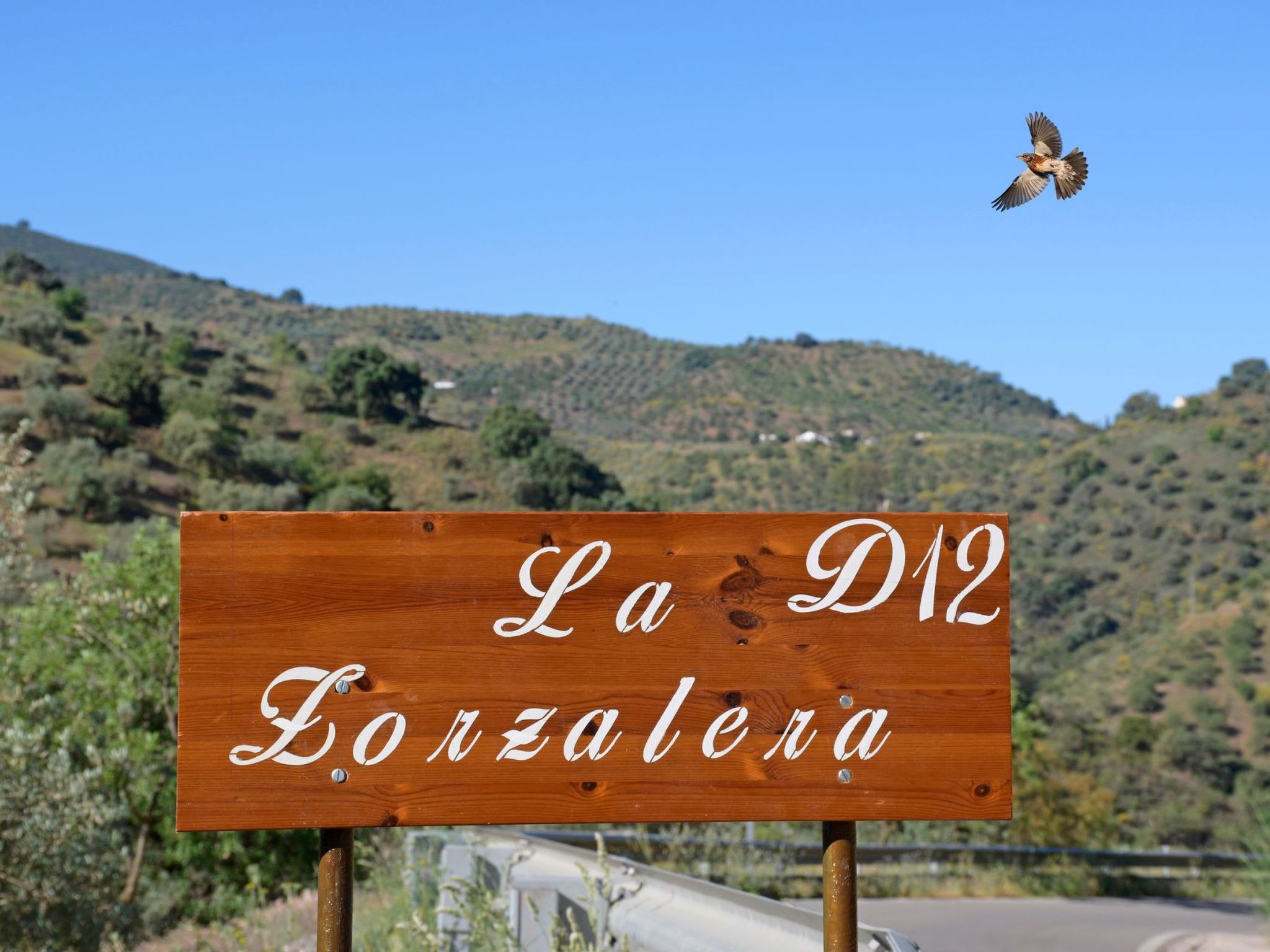 Villa La Zorzalera mit Tauchbecken, Wifi, Klimaanlage-Binnen