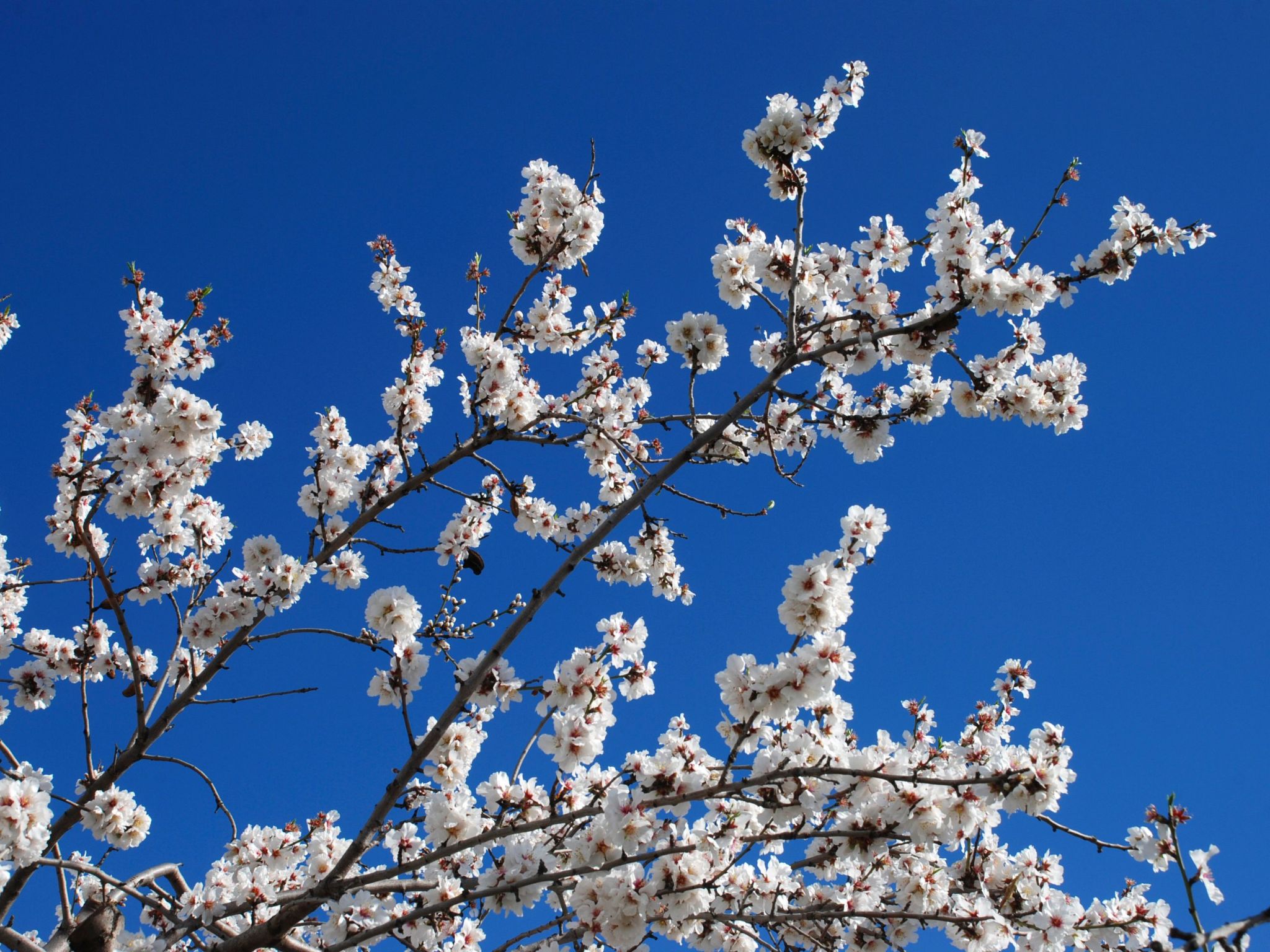 Schönes Landhaus mit Pool, Klimaanlage, Privatsphäre.-Binnen