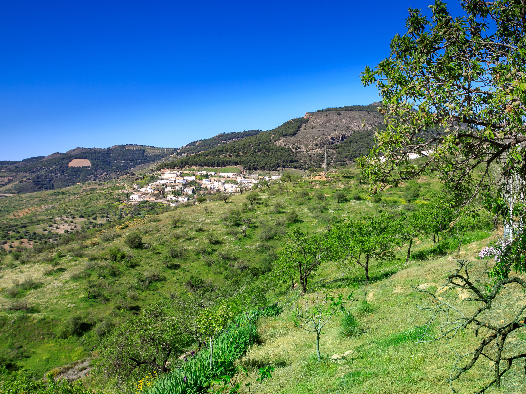 Paraje Starlight Murtas - Alpujarra-Buiten