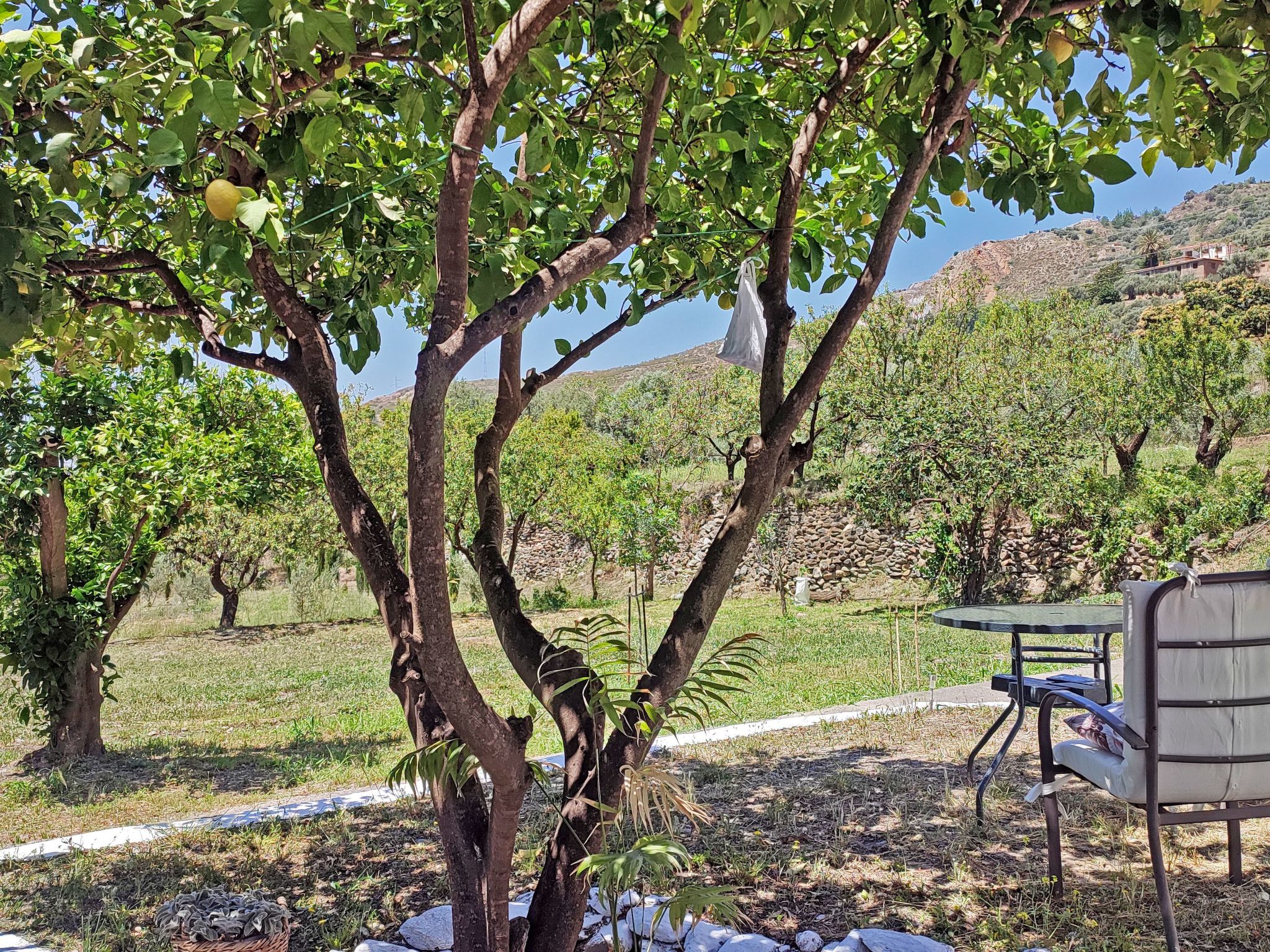 Gemütliches Haus mit Schwimmbad in La Alpujarra - Buiten