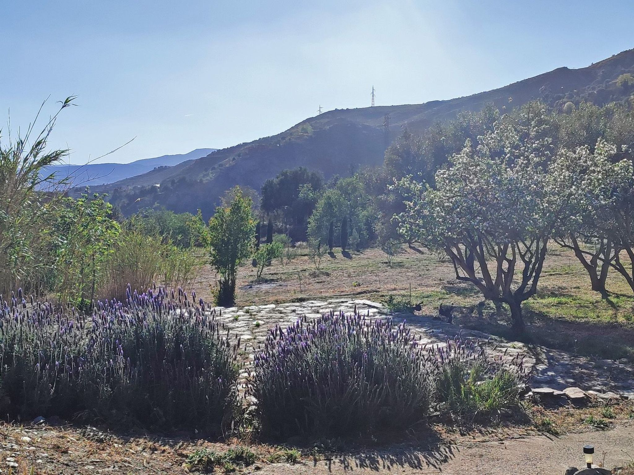 Gemütliches Haus mit Schwimmbad in La Alpujarra - Buiten