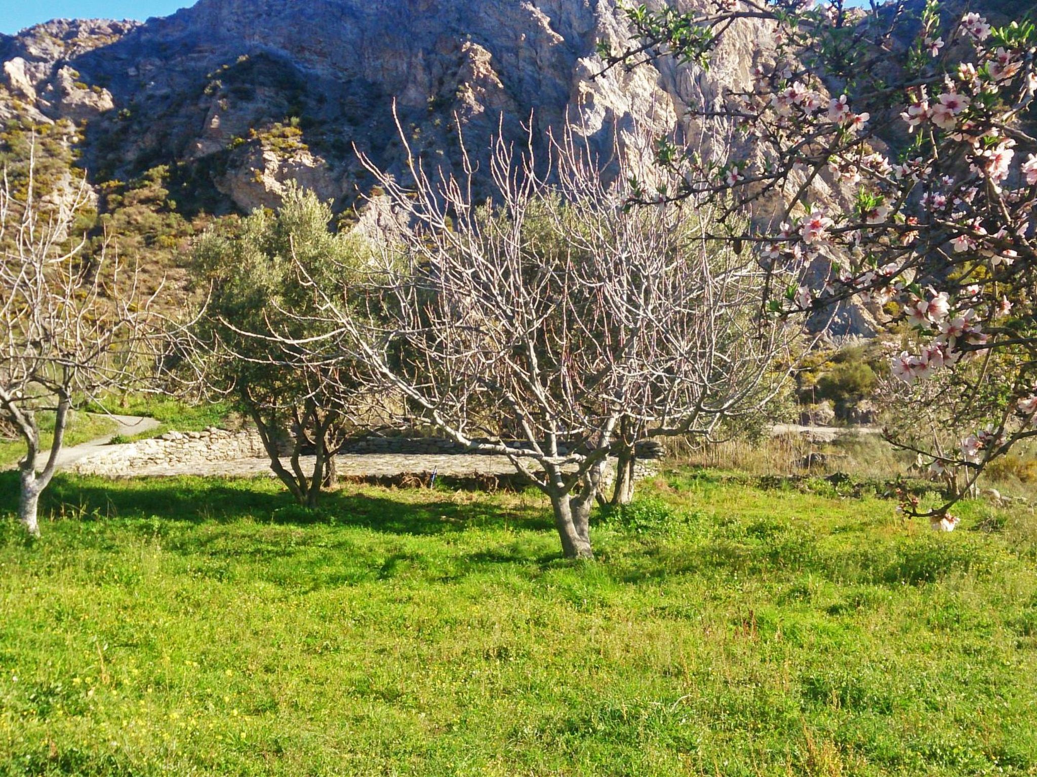 Gemütliches Haus mit Schwimmbad in La Alpujarra - Buiten