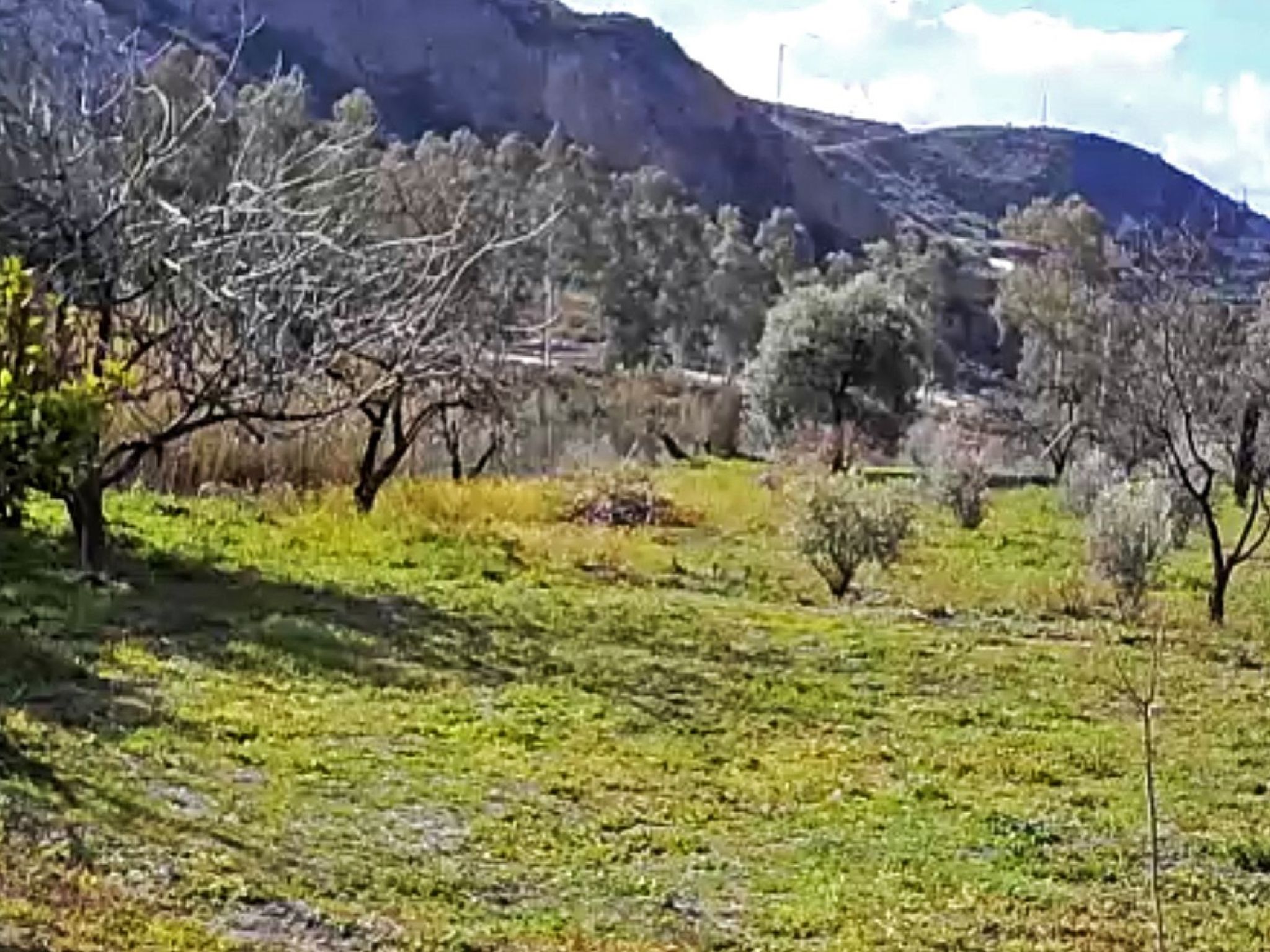 Gemütliches Haus mit Schwimmbad in La Alpujarra - Buiten