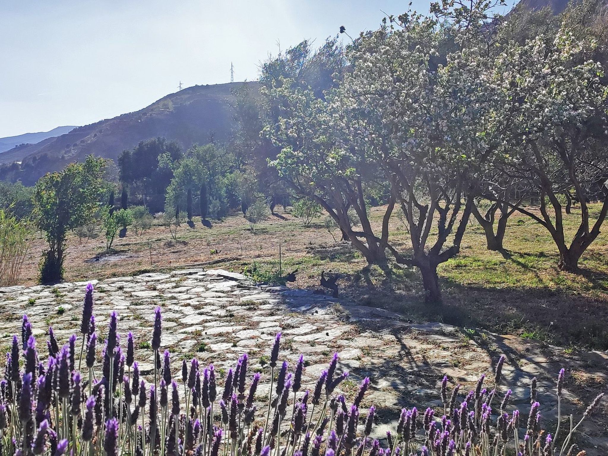 Gemütliches Haus mit Schwimmbad in La Alpujarra - Buiten