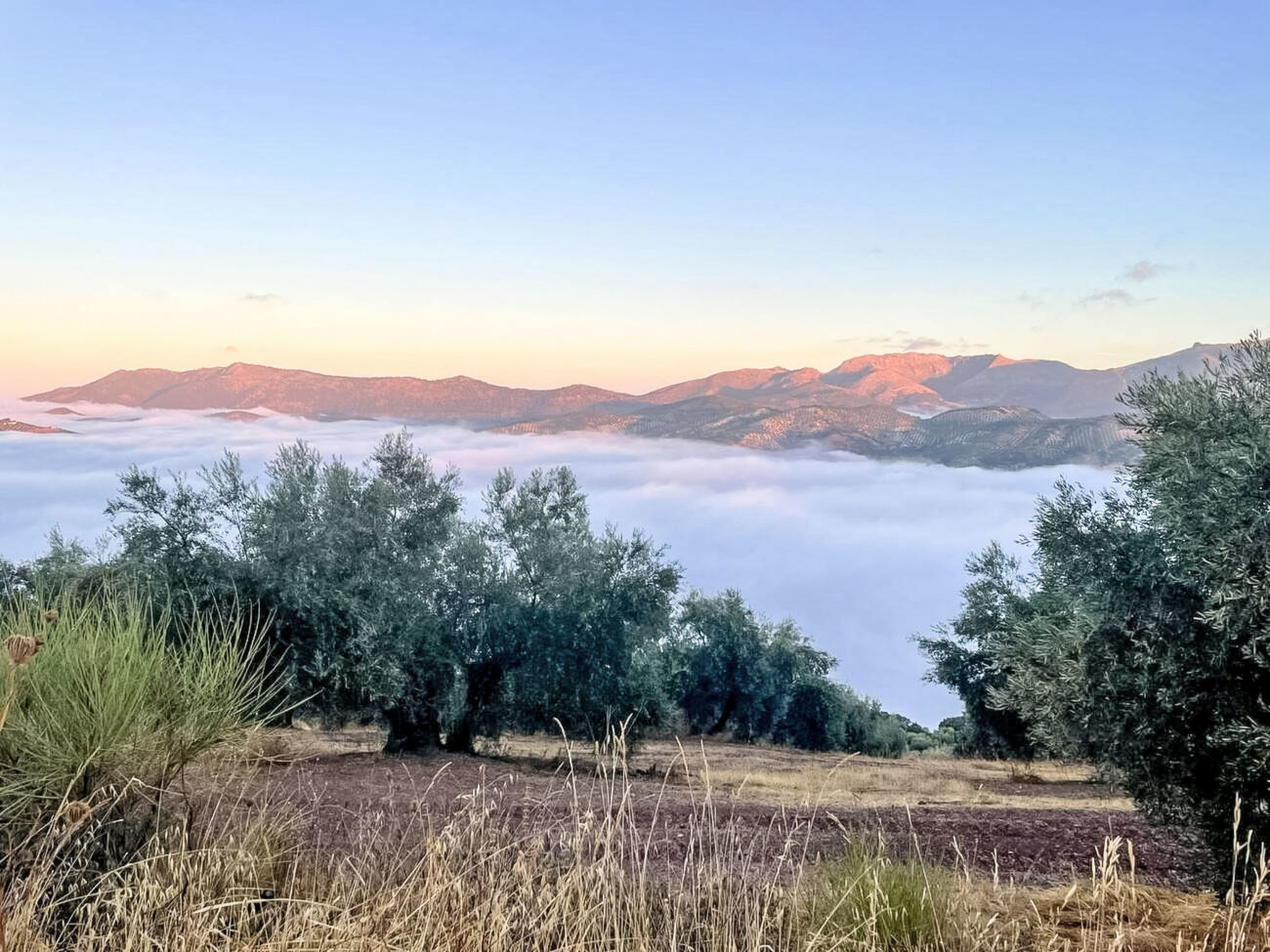 Finca "Molino" mit privatem Pool - Buiten