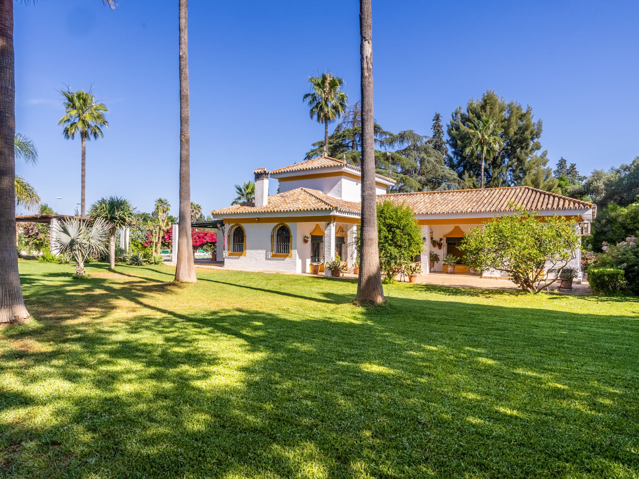 Finca las Palmeras - Outside