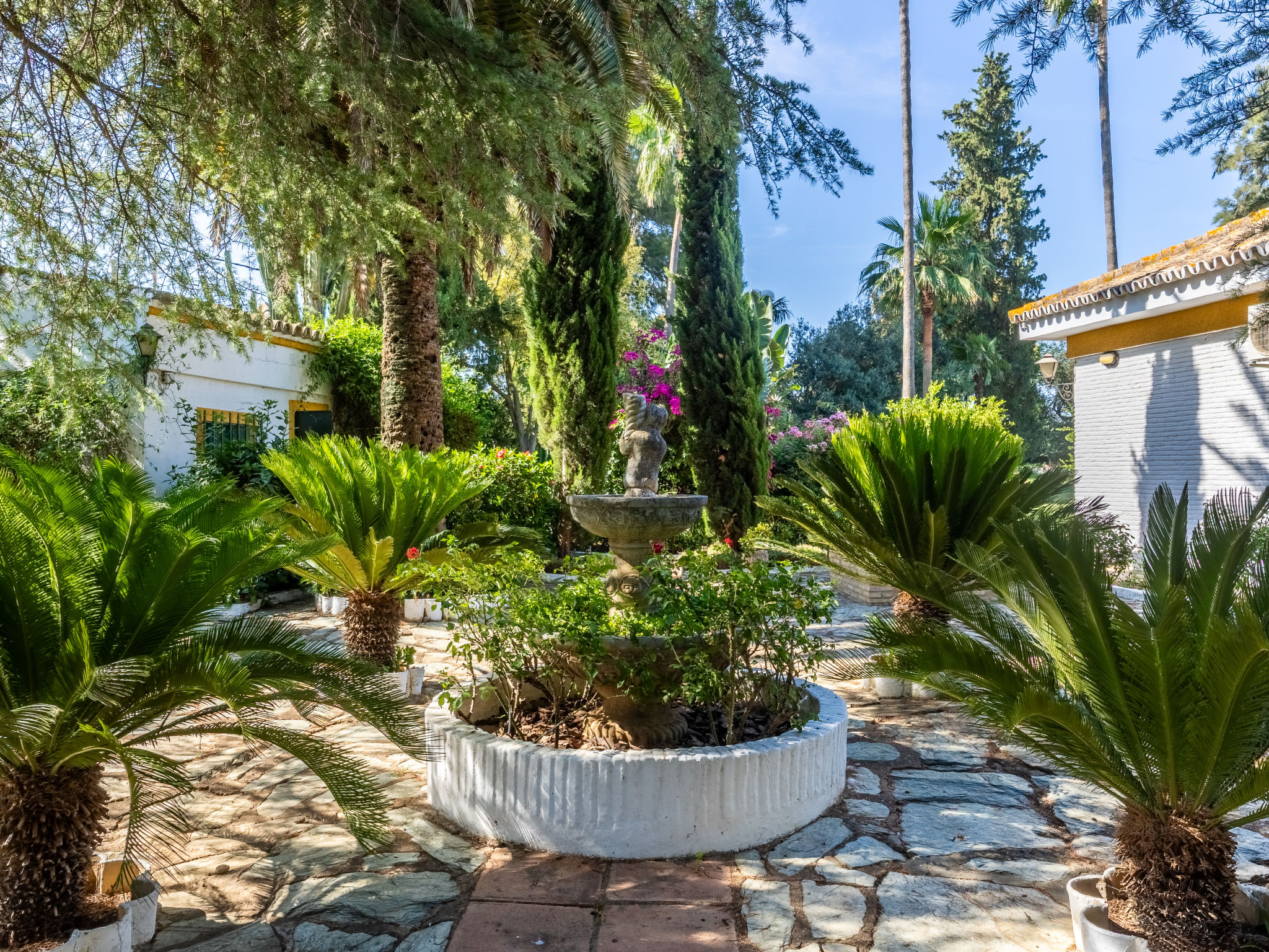 Finca las Palmeras - Outside
