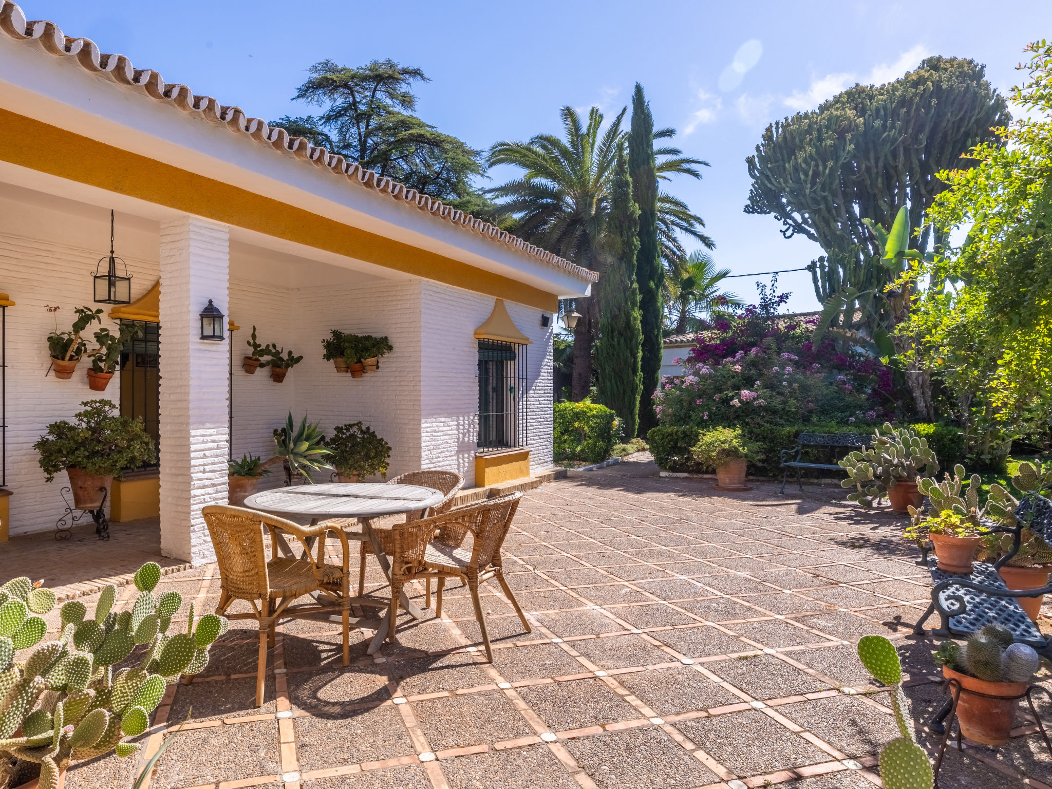 Finca las Palmeras - Outside
