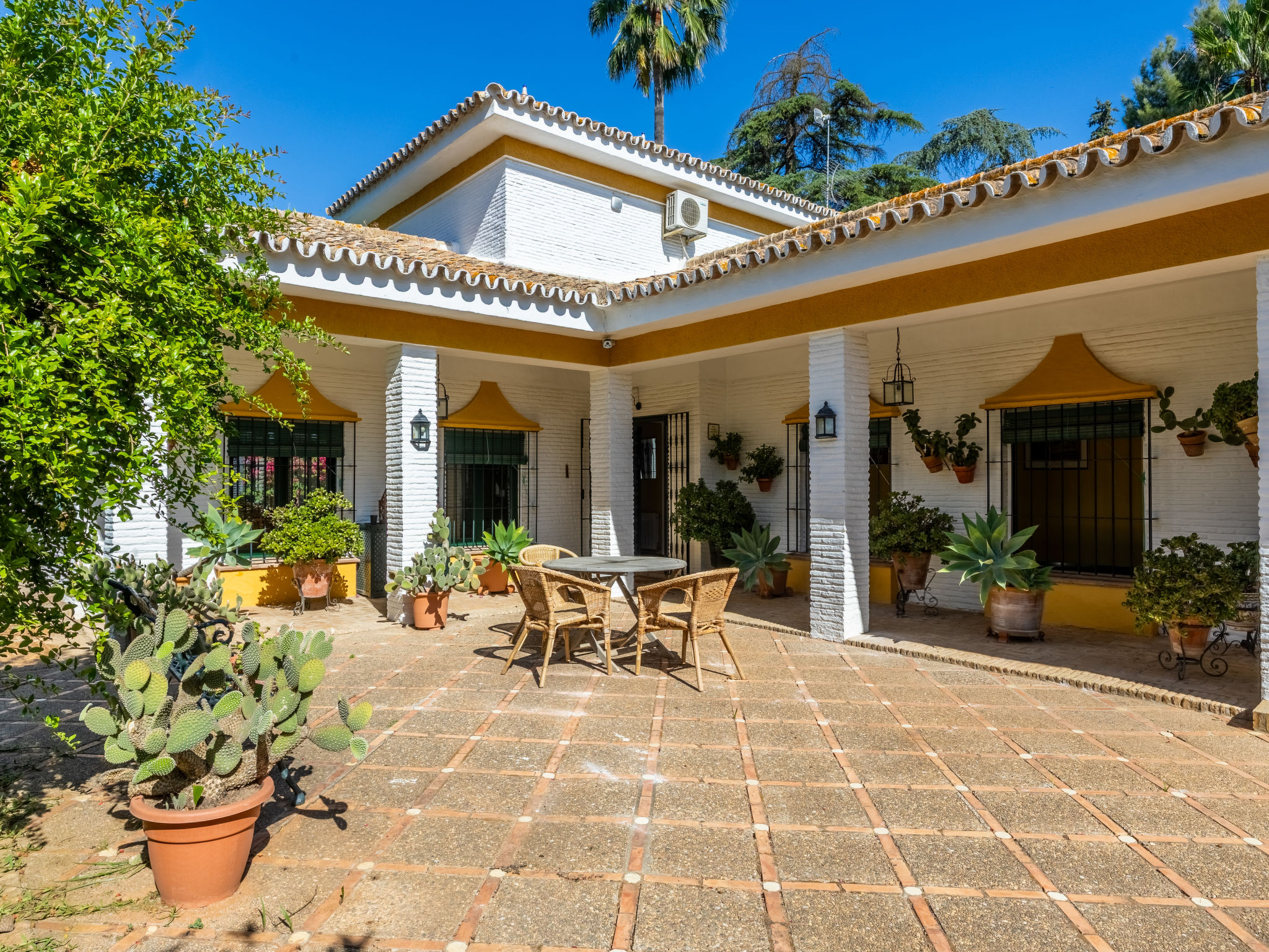 Finca las Palmeras - Outside