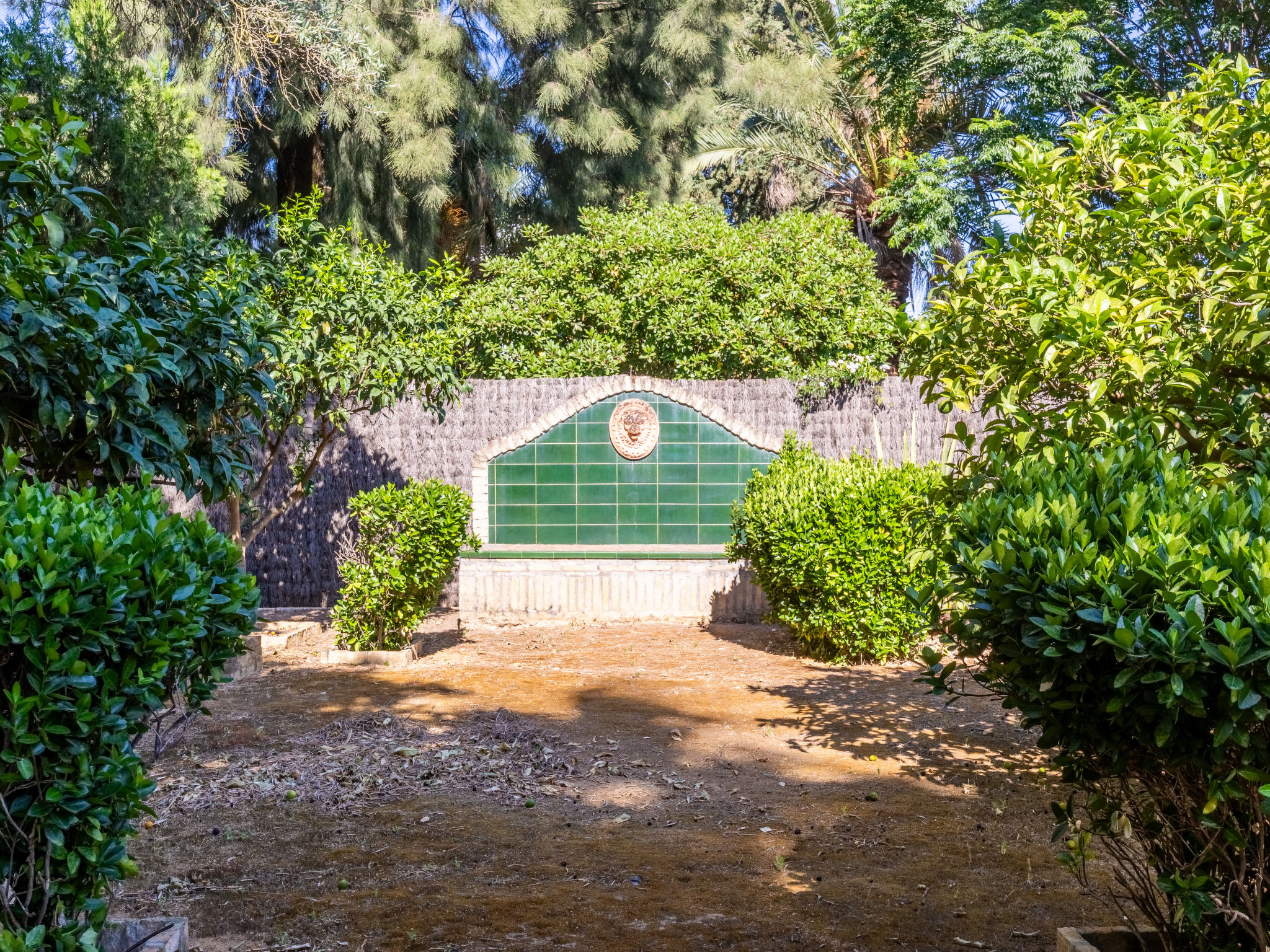 Finca las Palmeras - Outside