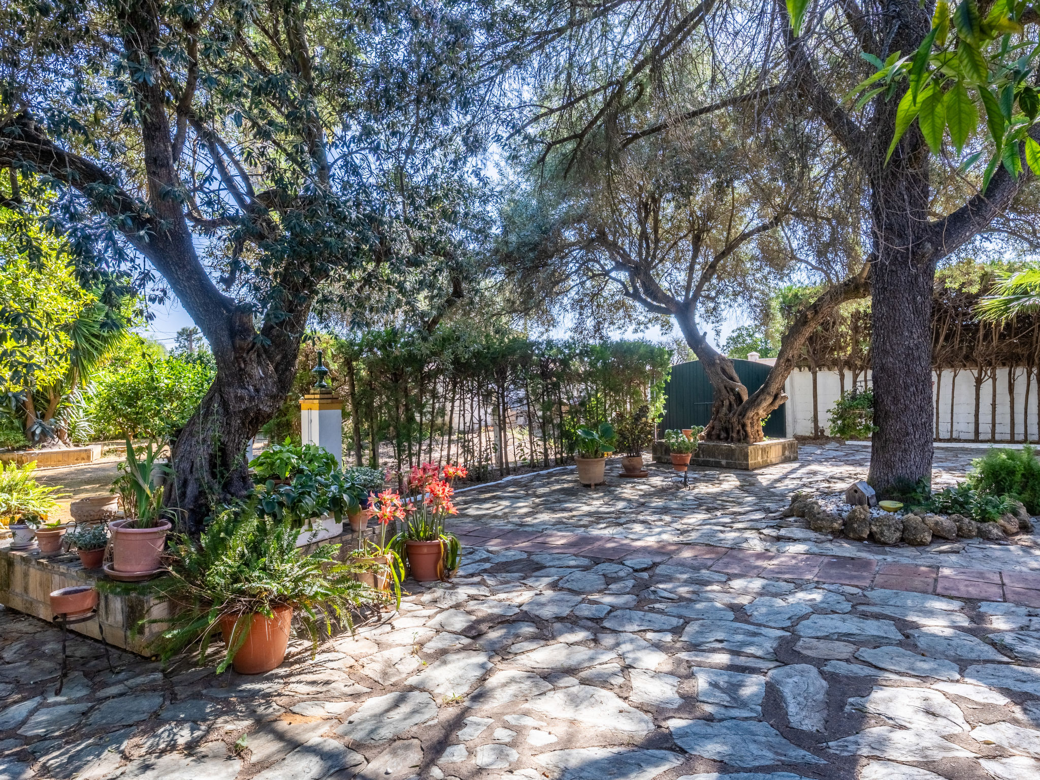 Finca las Palmeras - Outside
