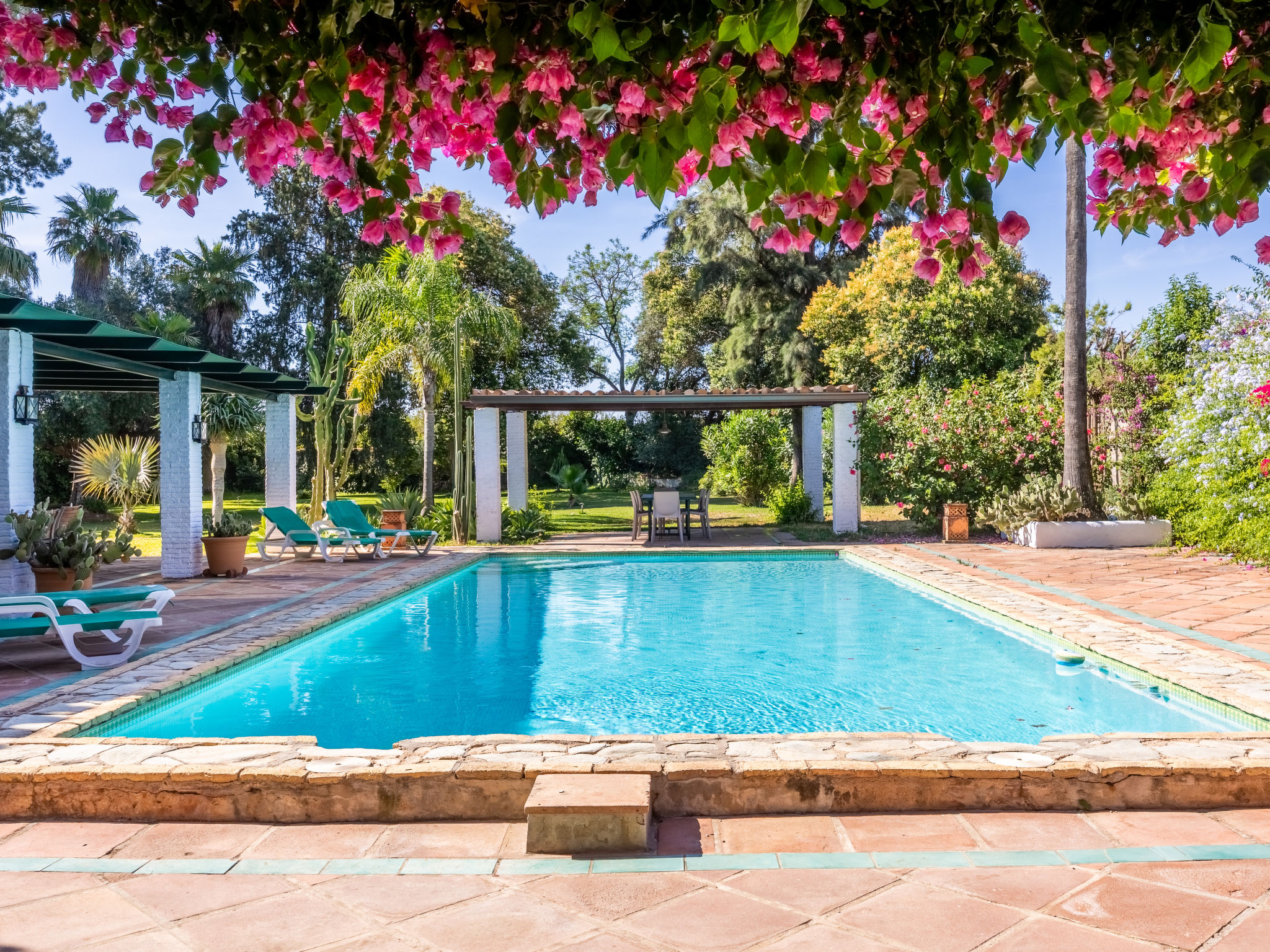 Finca las Palmeras - Outside