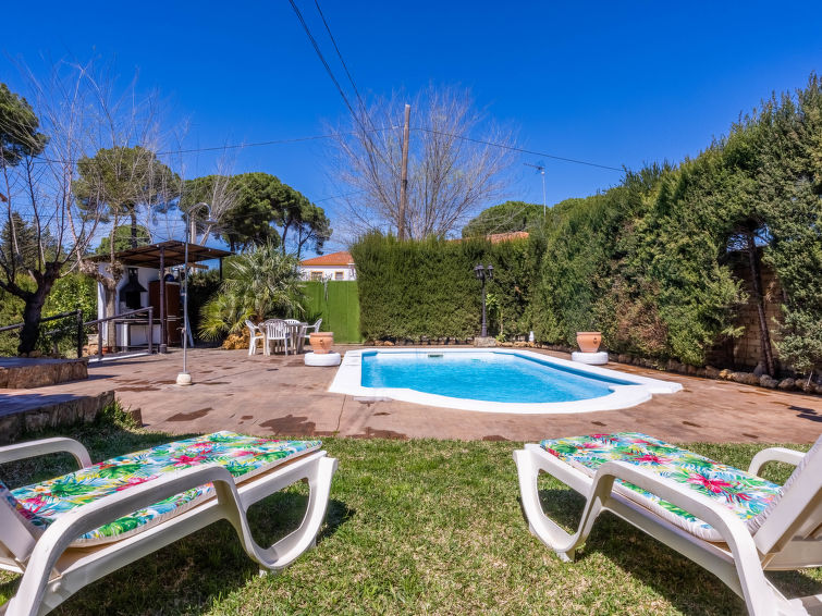 Search and Stay Destinations. Holidays Rentals in Villanueva del Río y Minas, Seville - Andalusia - Spain
