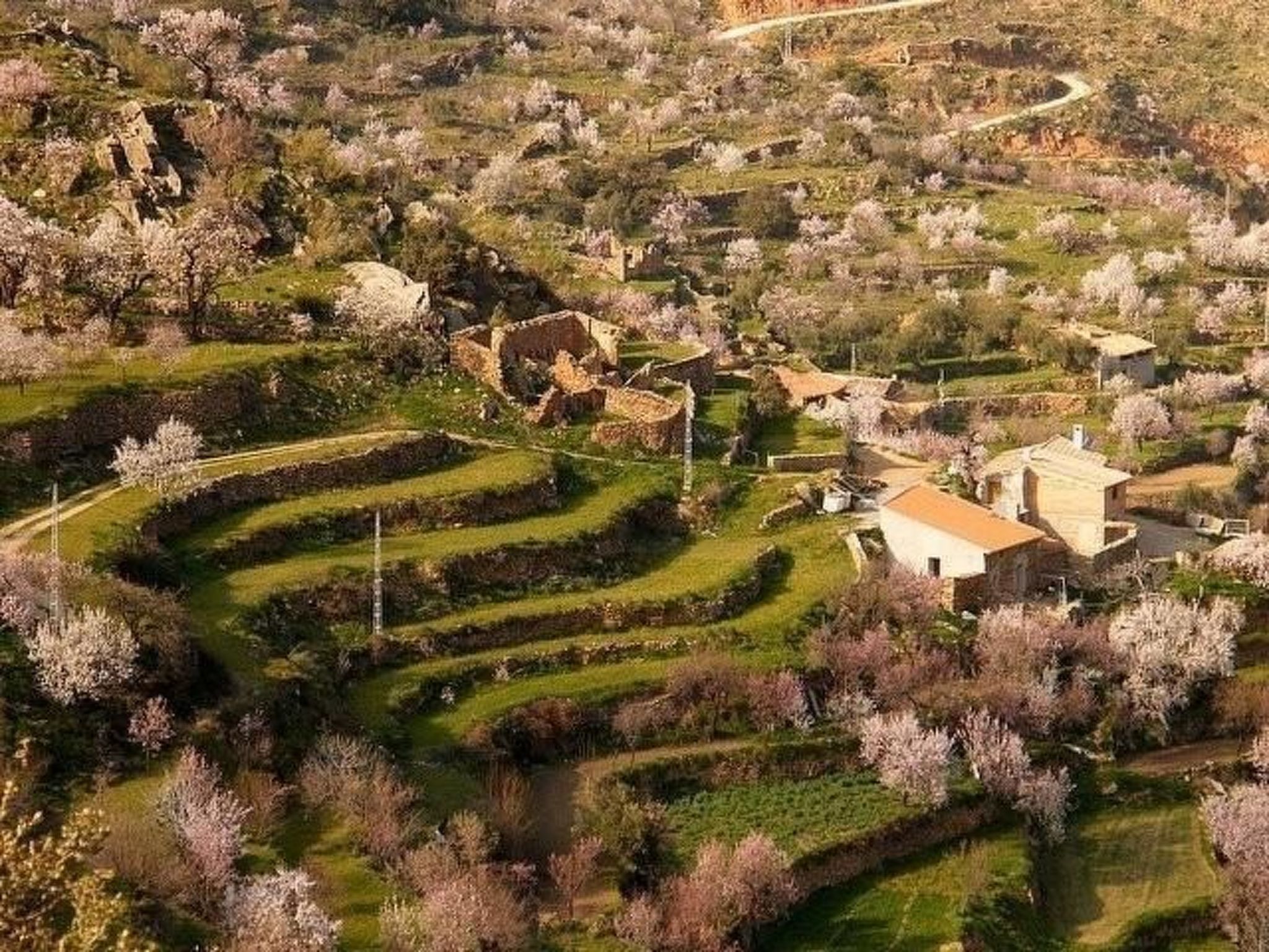 Das Upside Down House mit Whirlpool-Badewanne-Image-tags.info