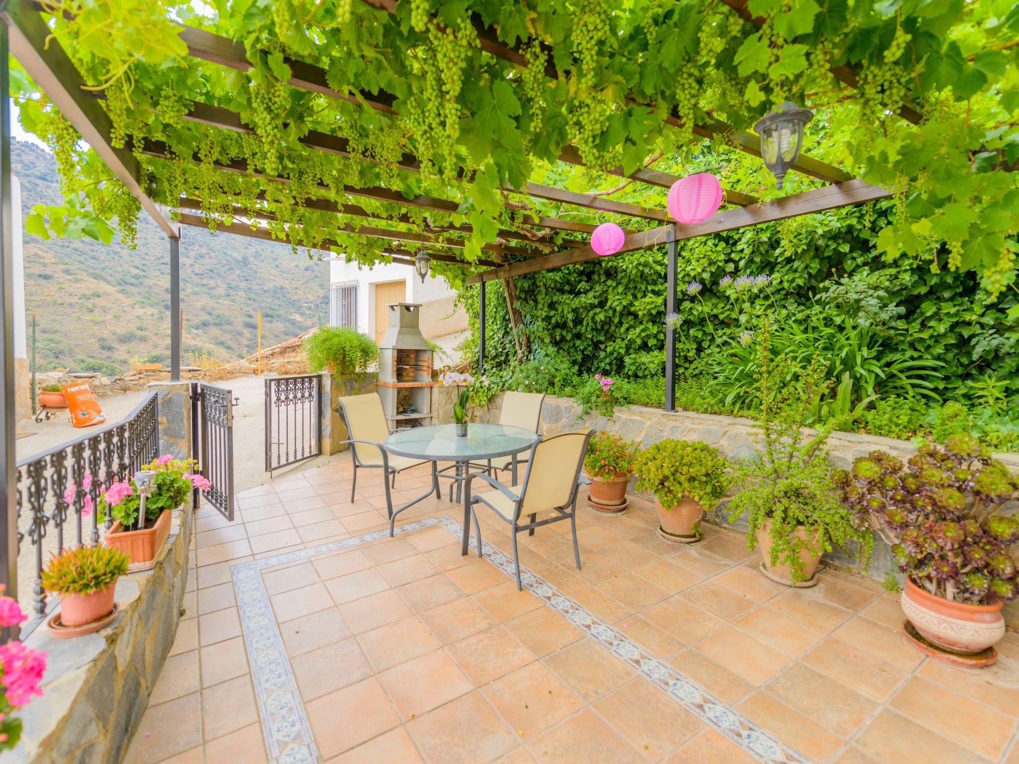 Mirador-Image-tags.info