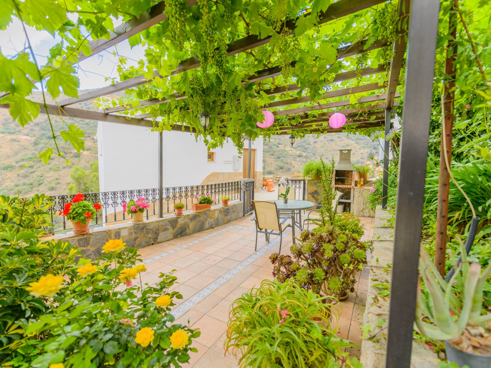 Mirador-Image-tags.info