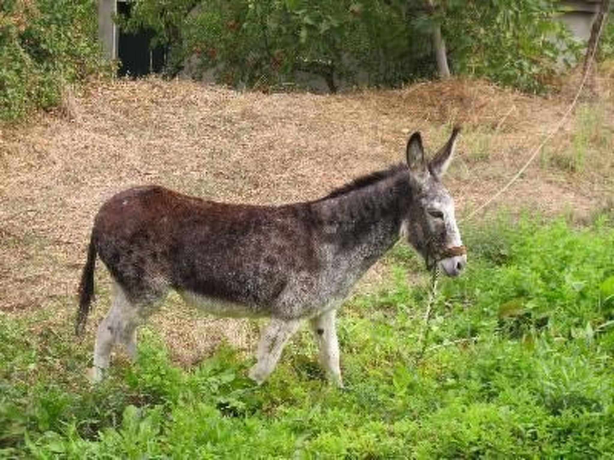 Casa Picachico-Image-tags.info