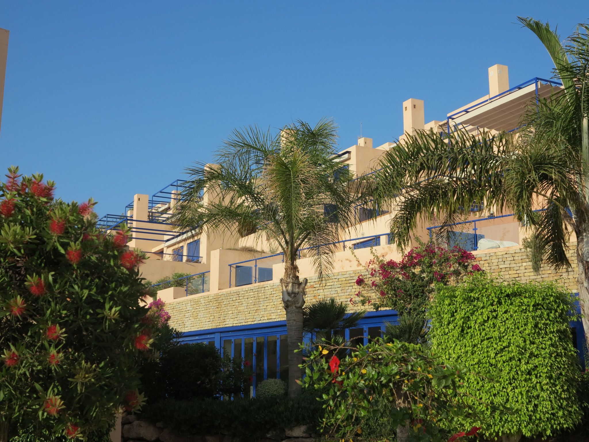 "Art4you"-Image-tags.info