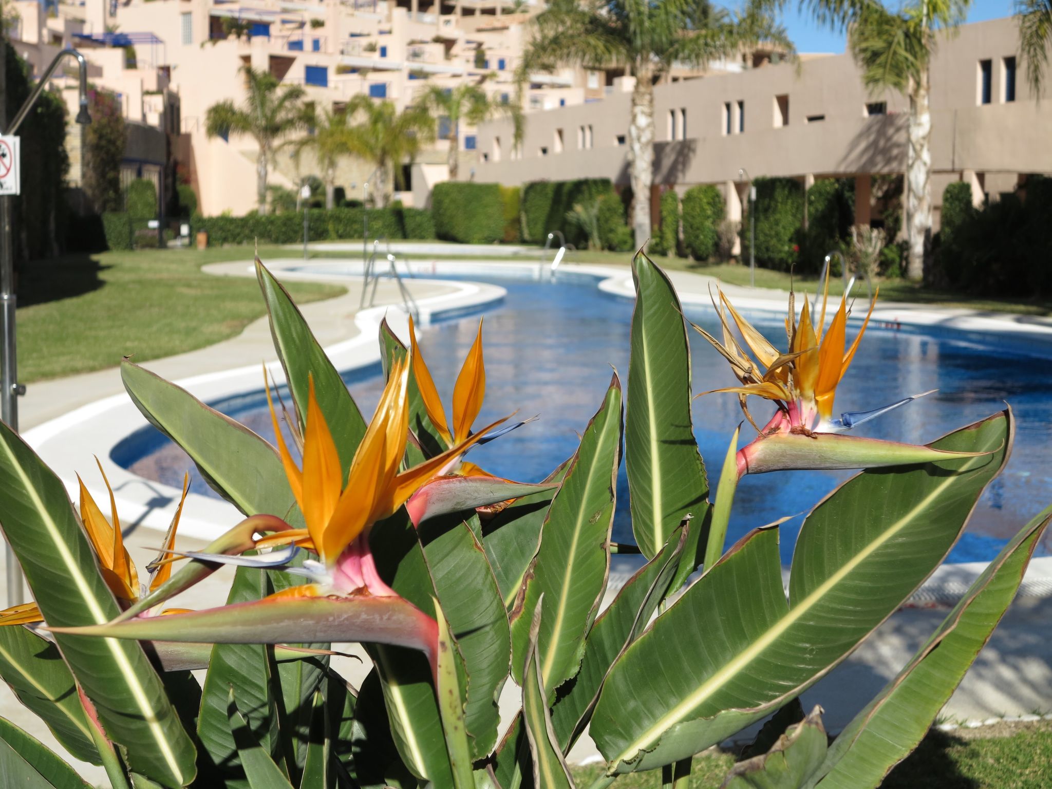 "Art4you"-Image-tags.info