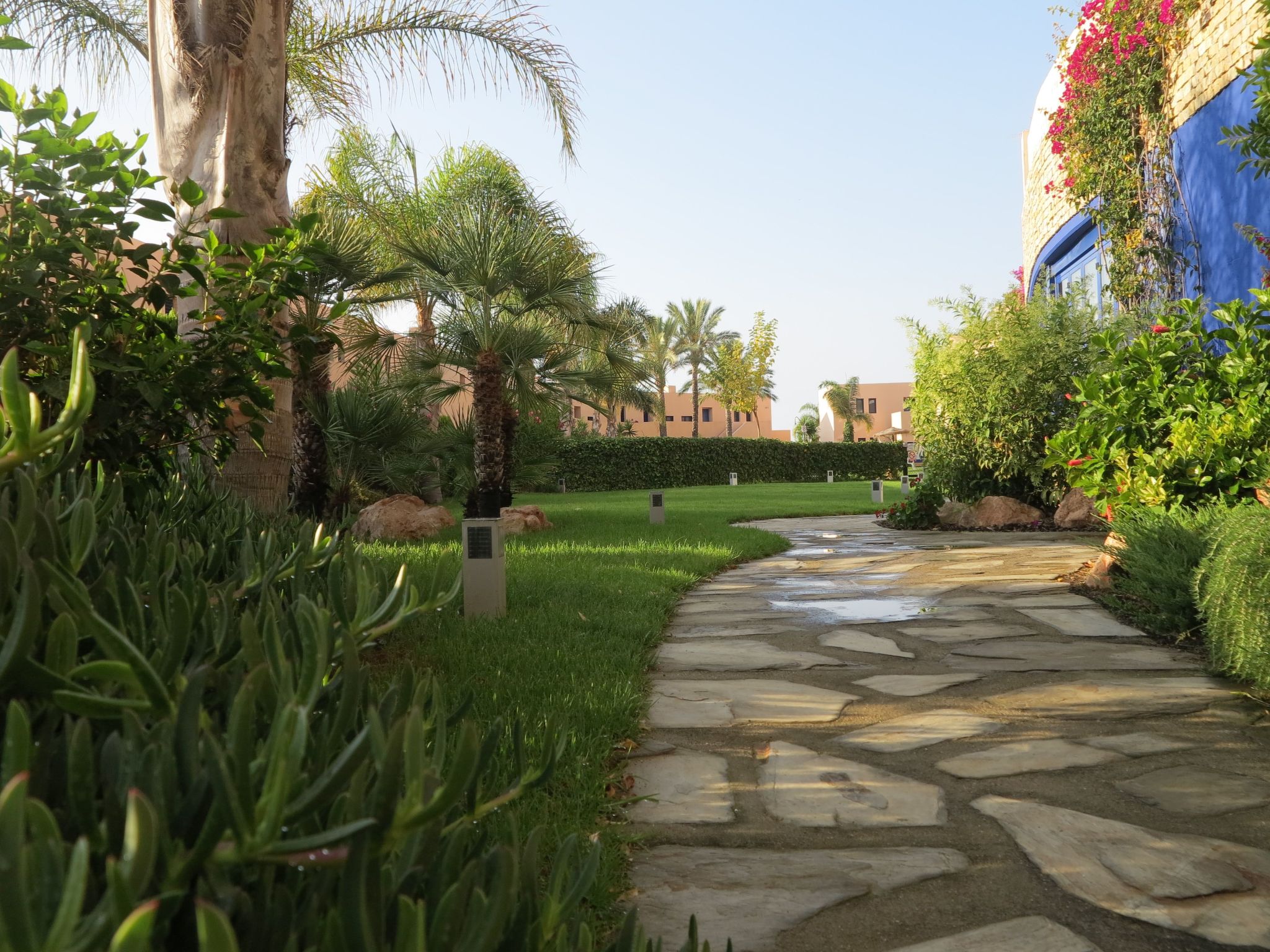 "Art4you"-Image-tags.info