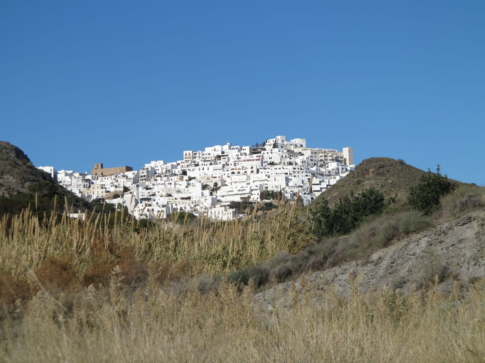 "Art4you"-Image-tags.info