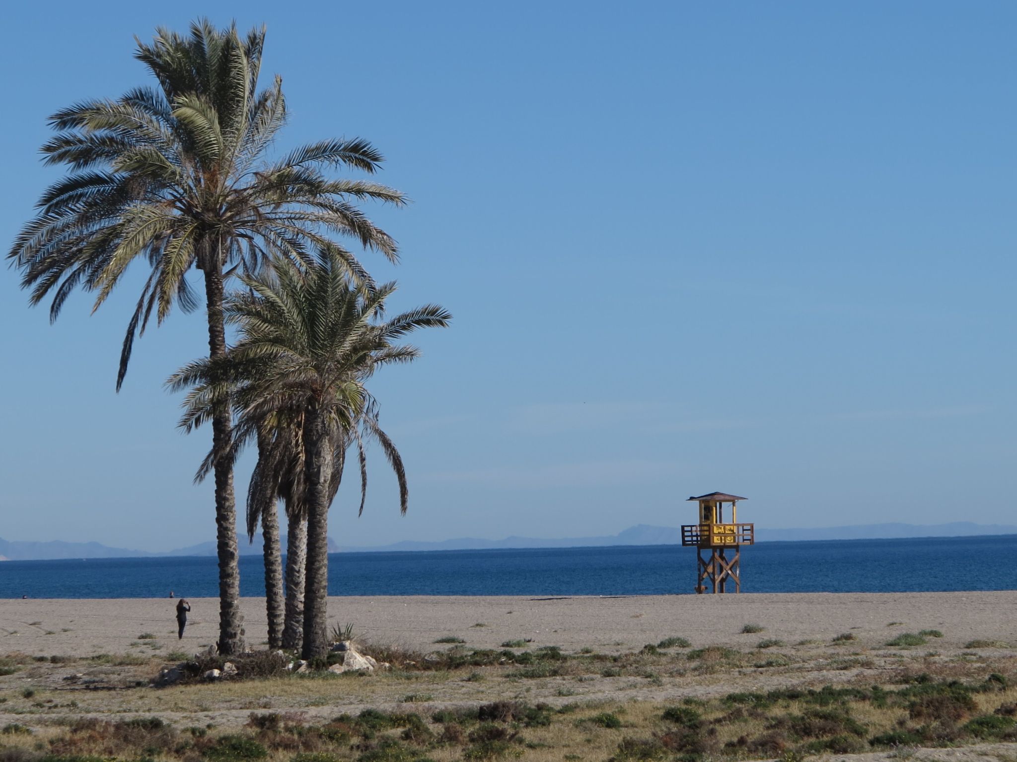 "Art4you"-Image-tags.info