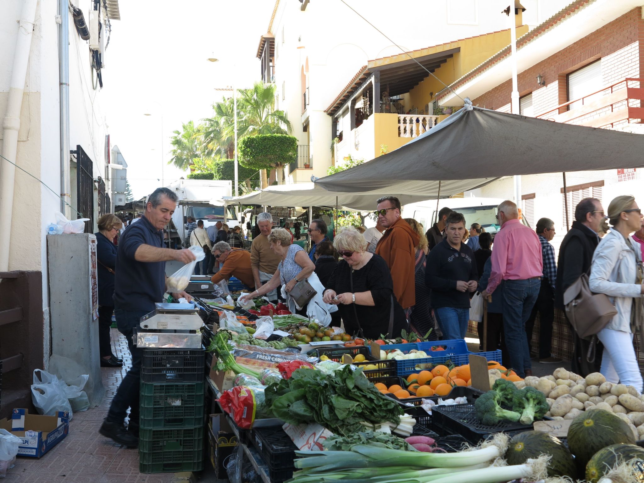 "Art4you"-Image-tags.info