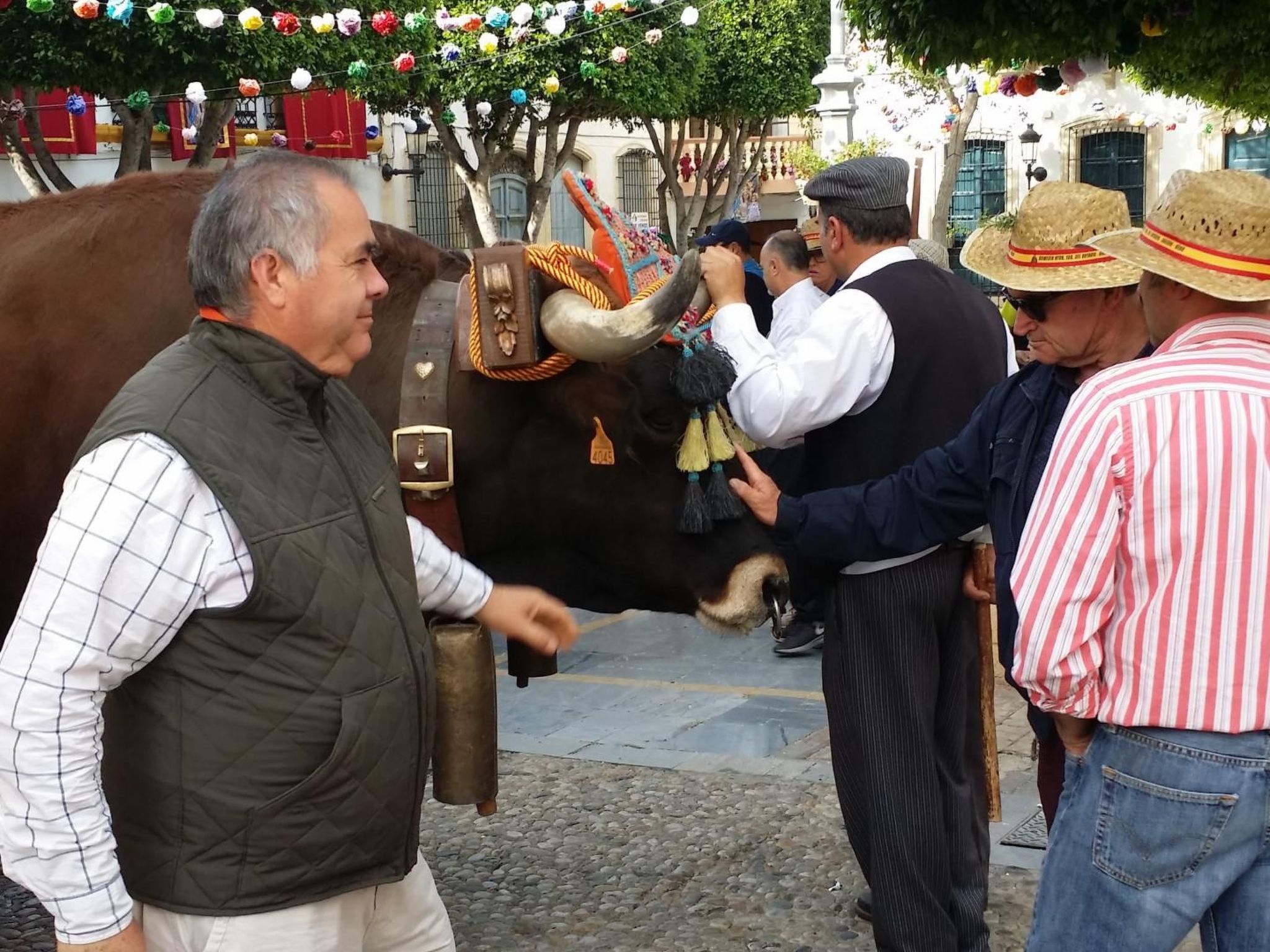 Schöne Villa für 6 Personen mit Schwimmbad-Binnen