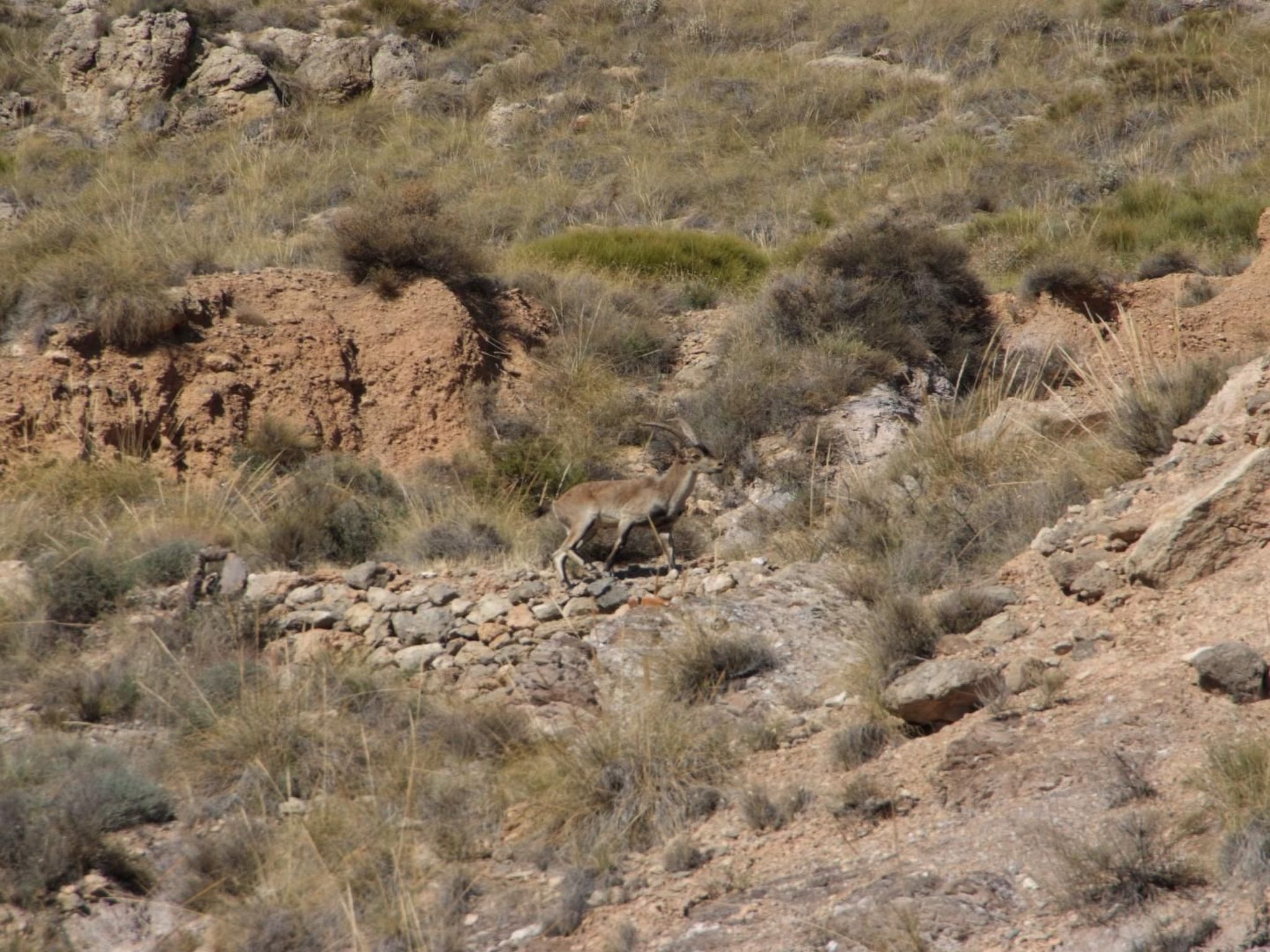 Schöne Villa für 6 Personen mit Schwimmbad-Binnen
