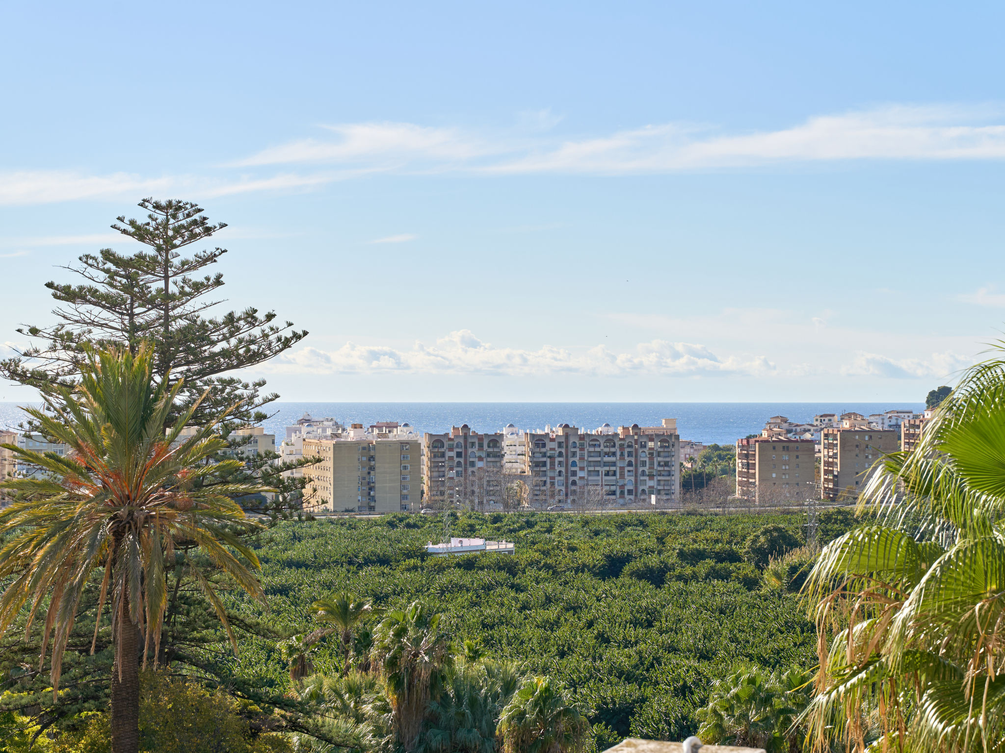 Almuñecar Tropical V - Draußen