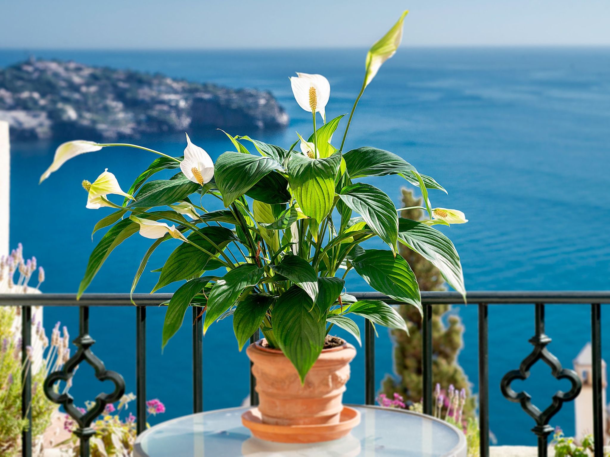 In Almuñécar mit Terrasse und Meerblick-Drinnen