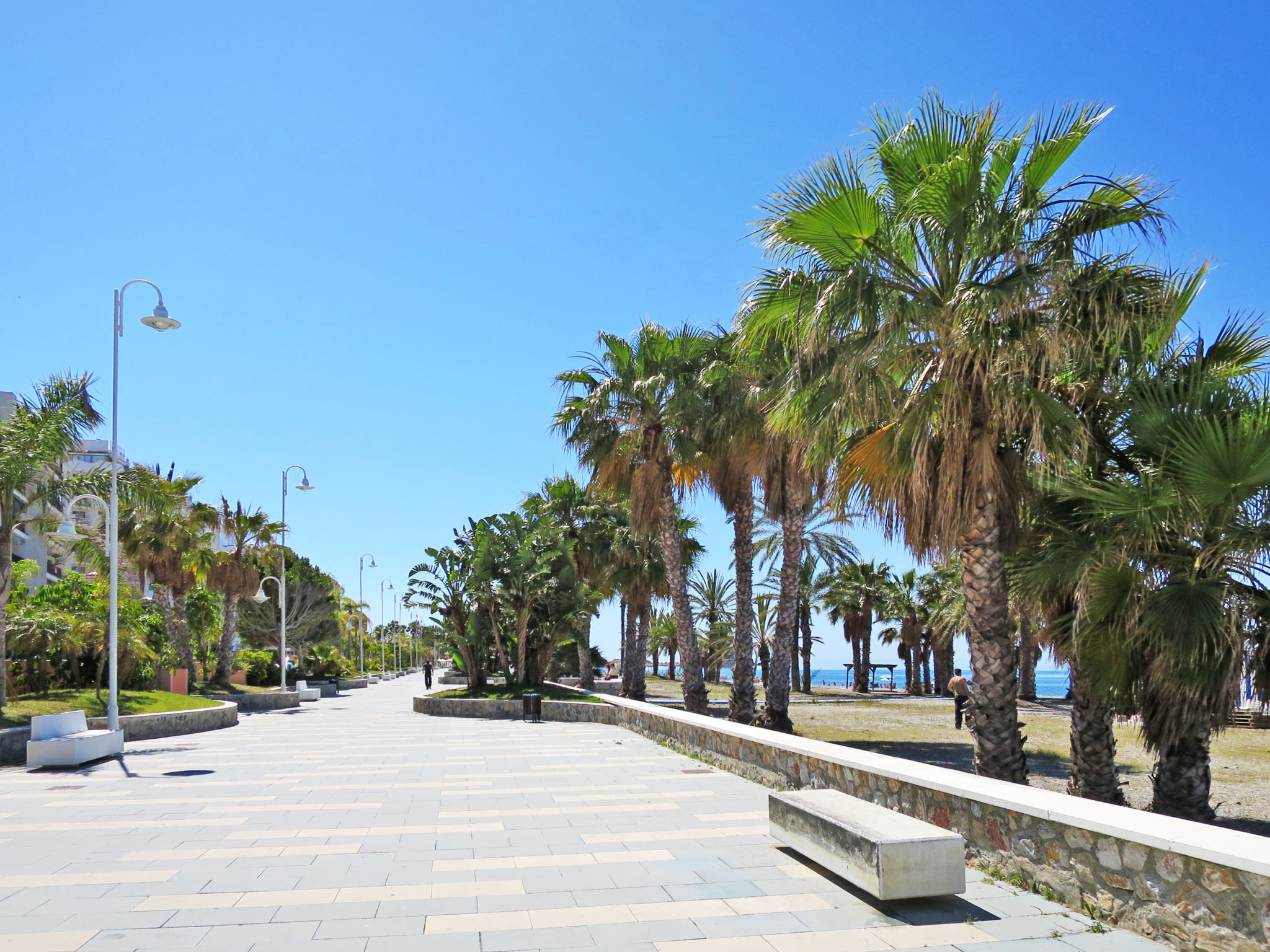 Villa Dar el Marsa mit Terrasse-Omgeving