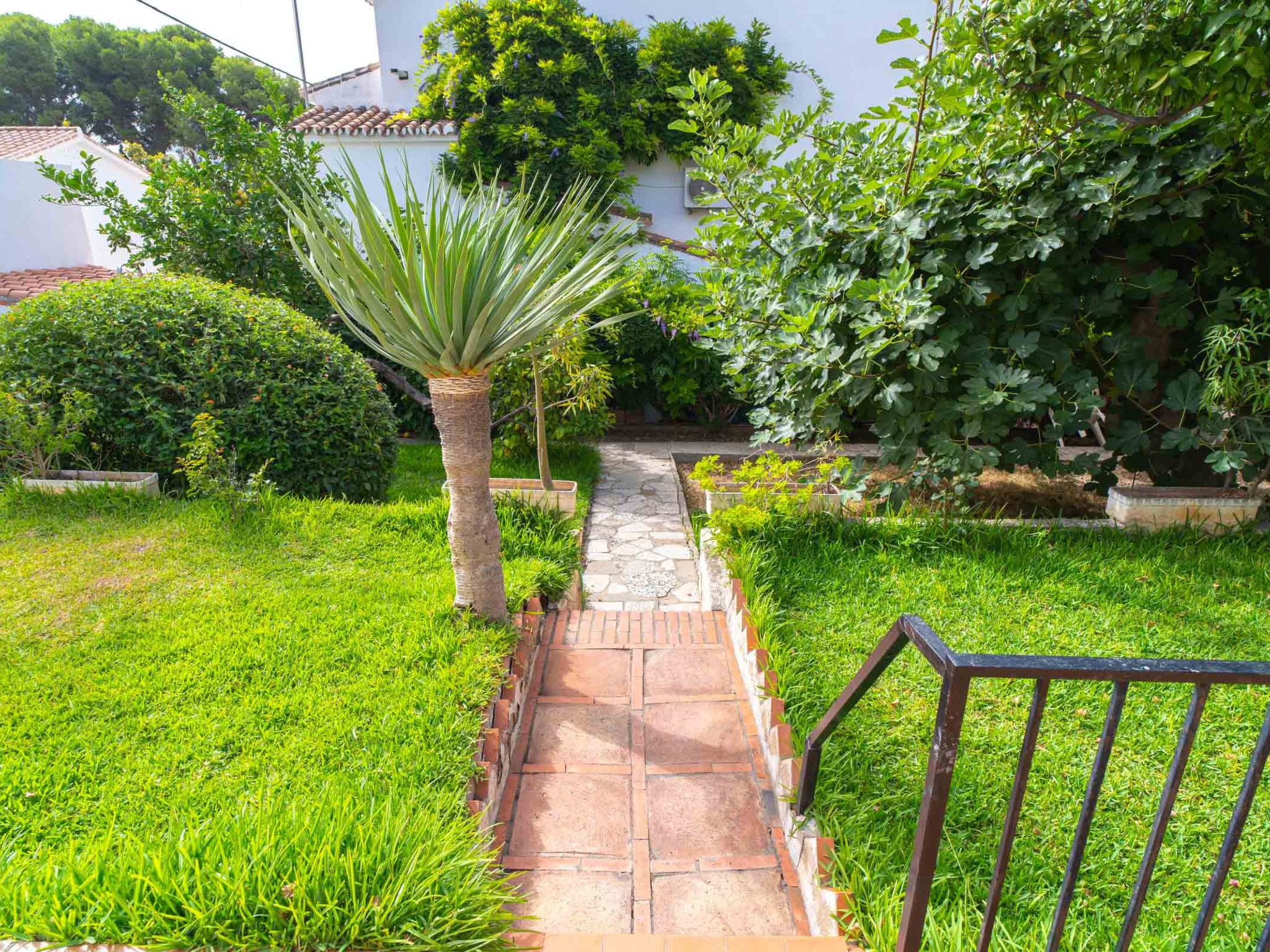 Photo of Villa Francisca by Casasol