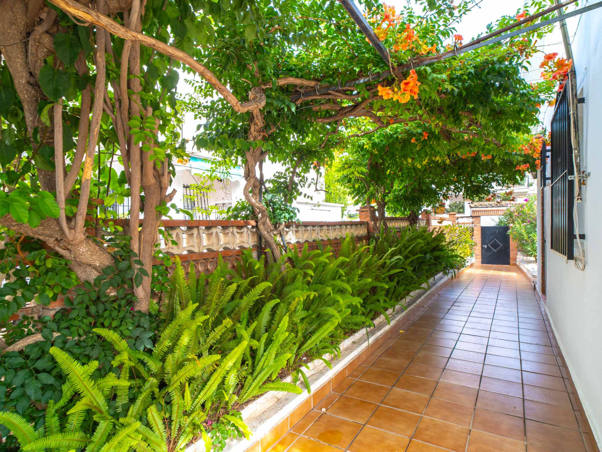 Photo of Villa Francisca by Casasol