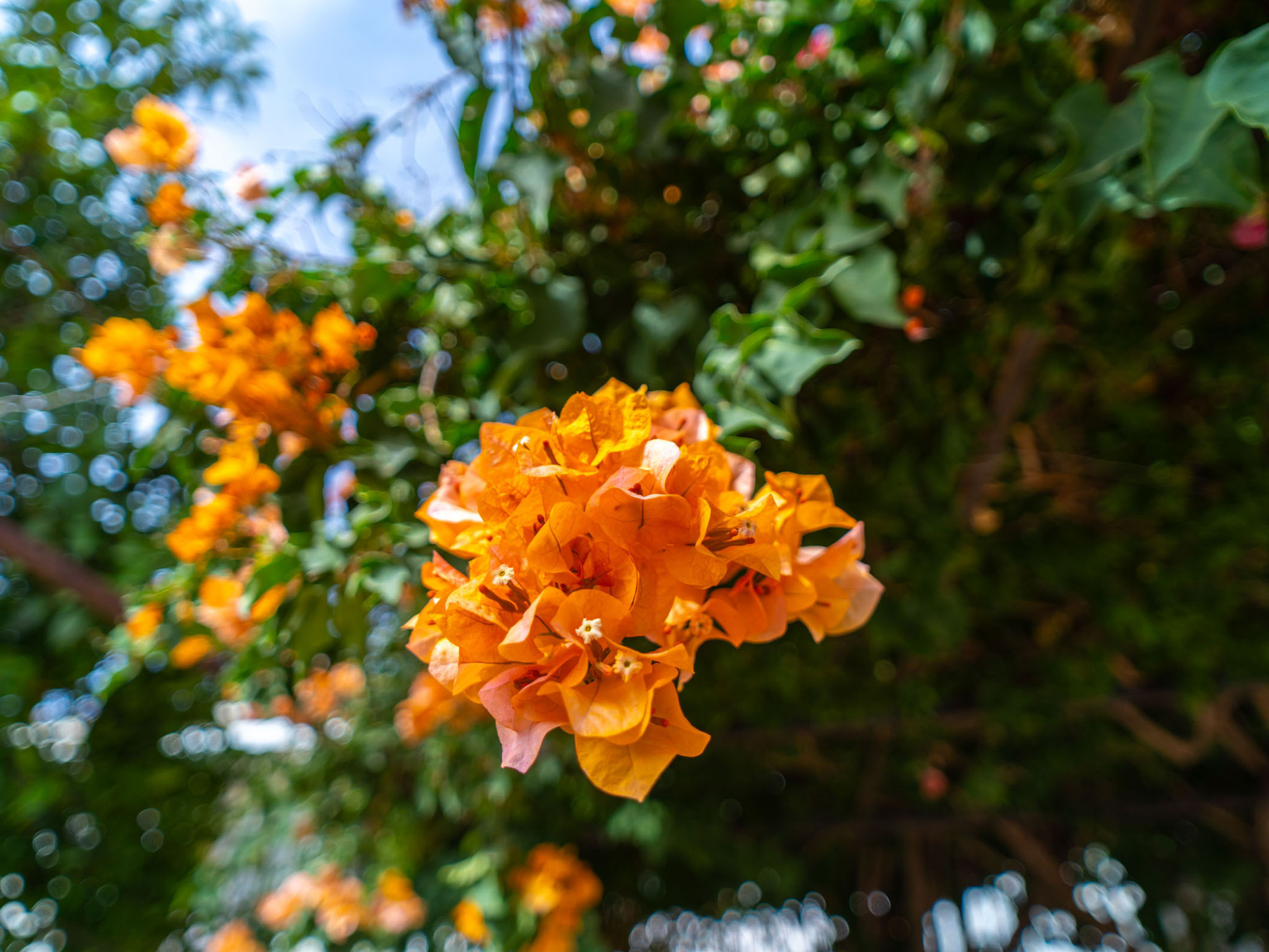Photo of Villa Francisca by Casasol