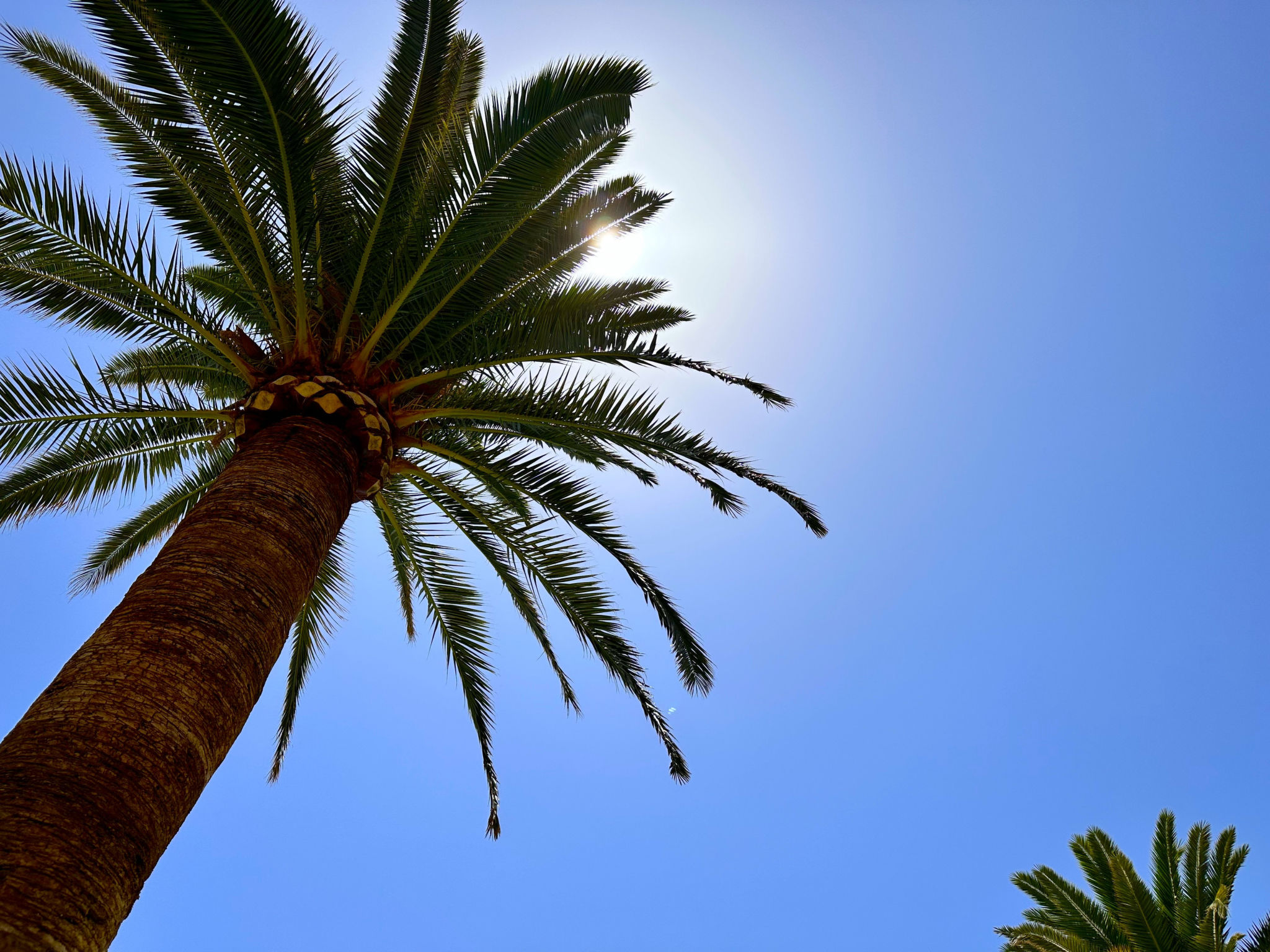 Photo of Carabeo 26 Boutique Studio by Casasol